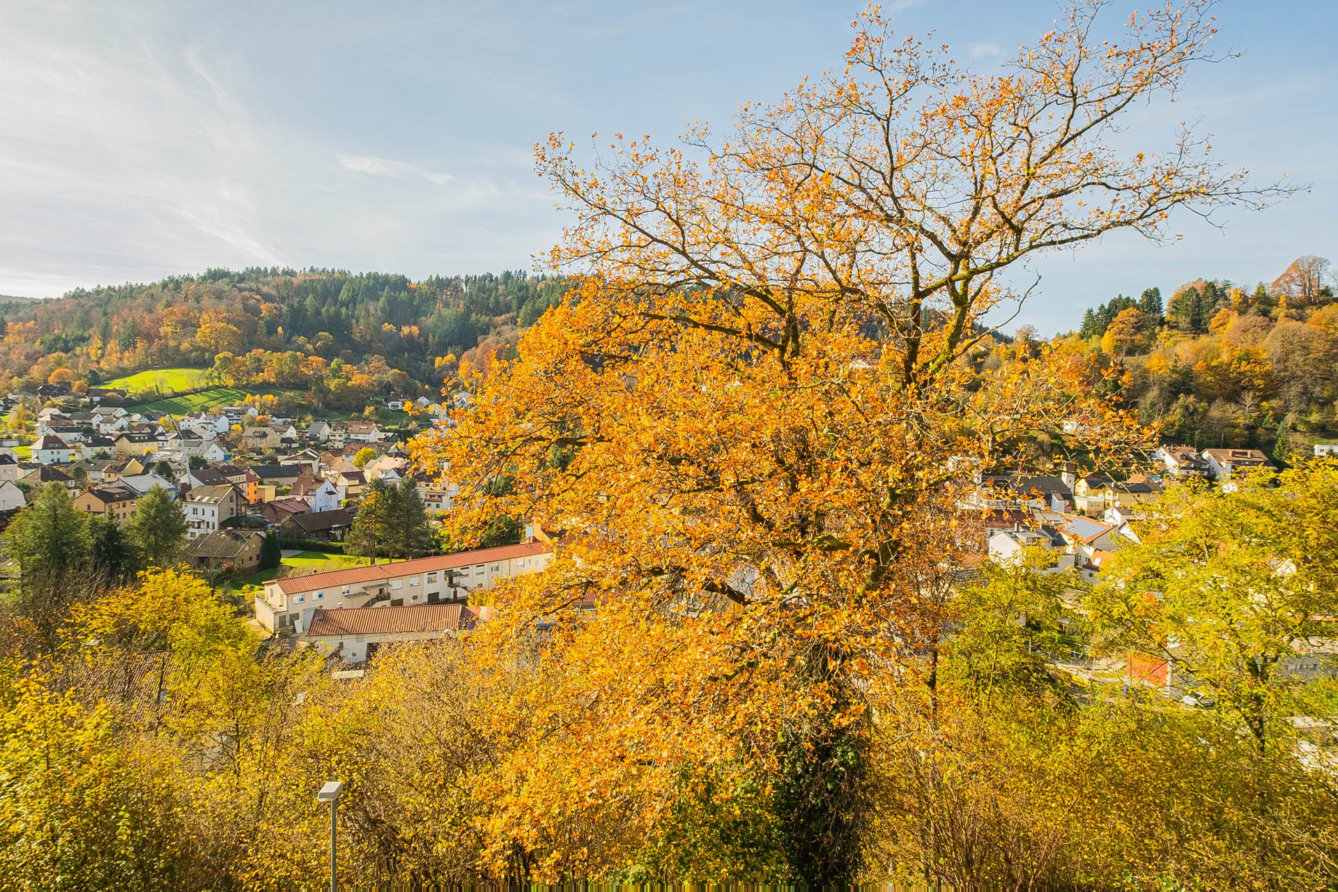 Immobilienangebot - Schönau - Alle - Von der Natur umarmt: großzügiges Wohnhaus in Hanglage mit sensationellem Panoramablick in Schönau