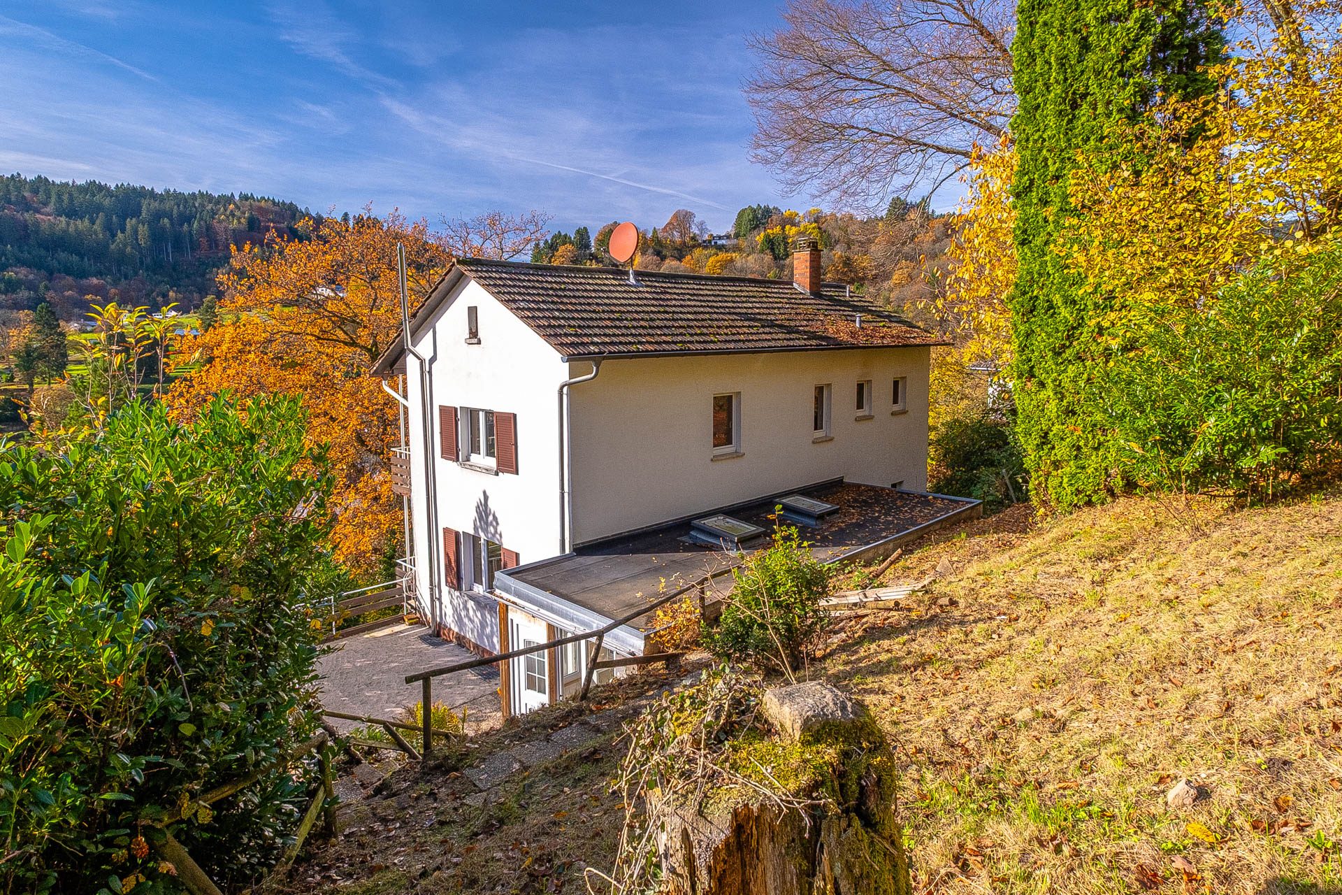 Immobilienangebot - Schönau - Alle - Von der Natur umarmt: großzügiges Wohnhaus in Hanglage mit sensationellem Panoramablick in Schönau