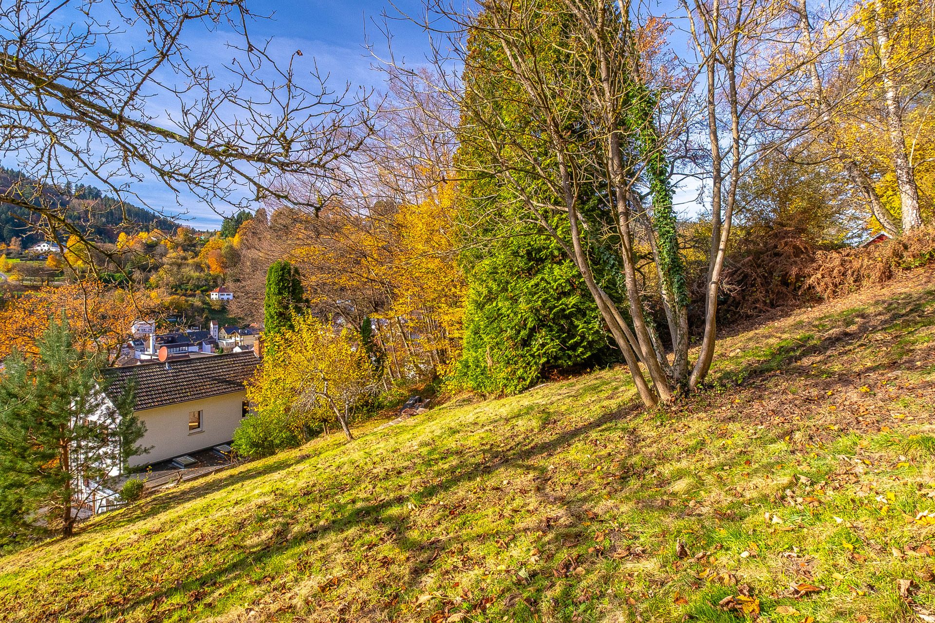 Immobilienangebot - Schönau - Alle - Von der Natur umarmt: großzügiges Wohnhaus in Hanglage mit sensationellem Panoramablick in Schönau