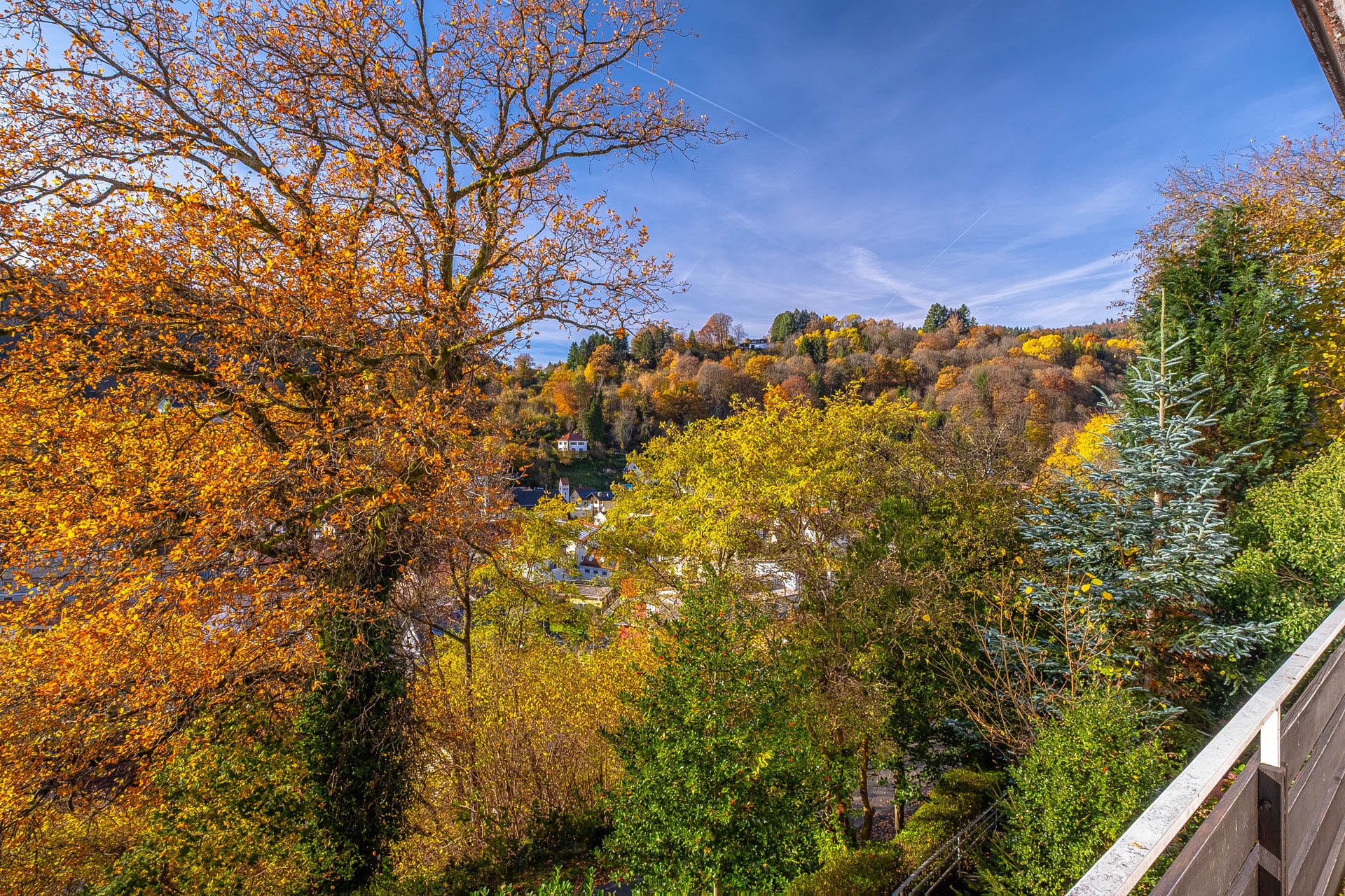 Immobilienangebot - Schönau - Alle - Von der Natur umarmt: großzügiges Wohnhaus in Hanglage mit sensationellem Panoramablick in Schönau