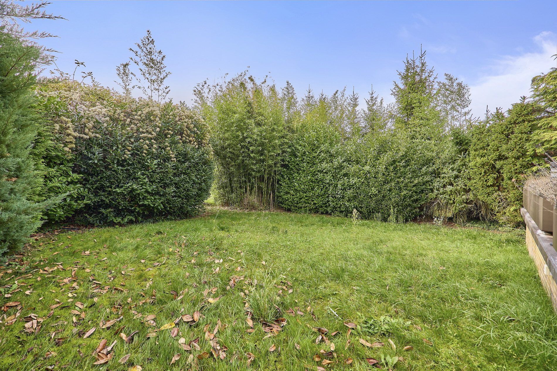 Immobilienangebot - Wiesloch - Alle - Wiesloch: Geräumiges Haus mit Wintergarten, vielen Vorzügen und herrlichem Garten in begehrter Lage