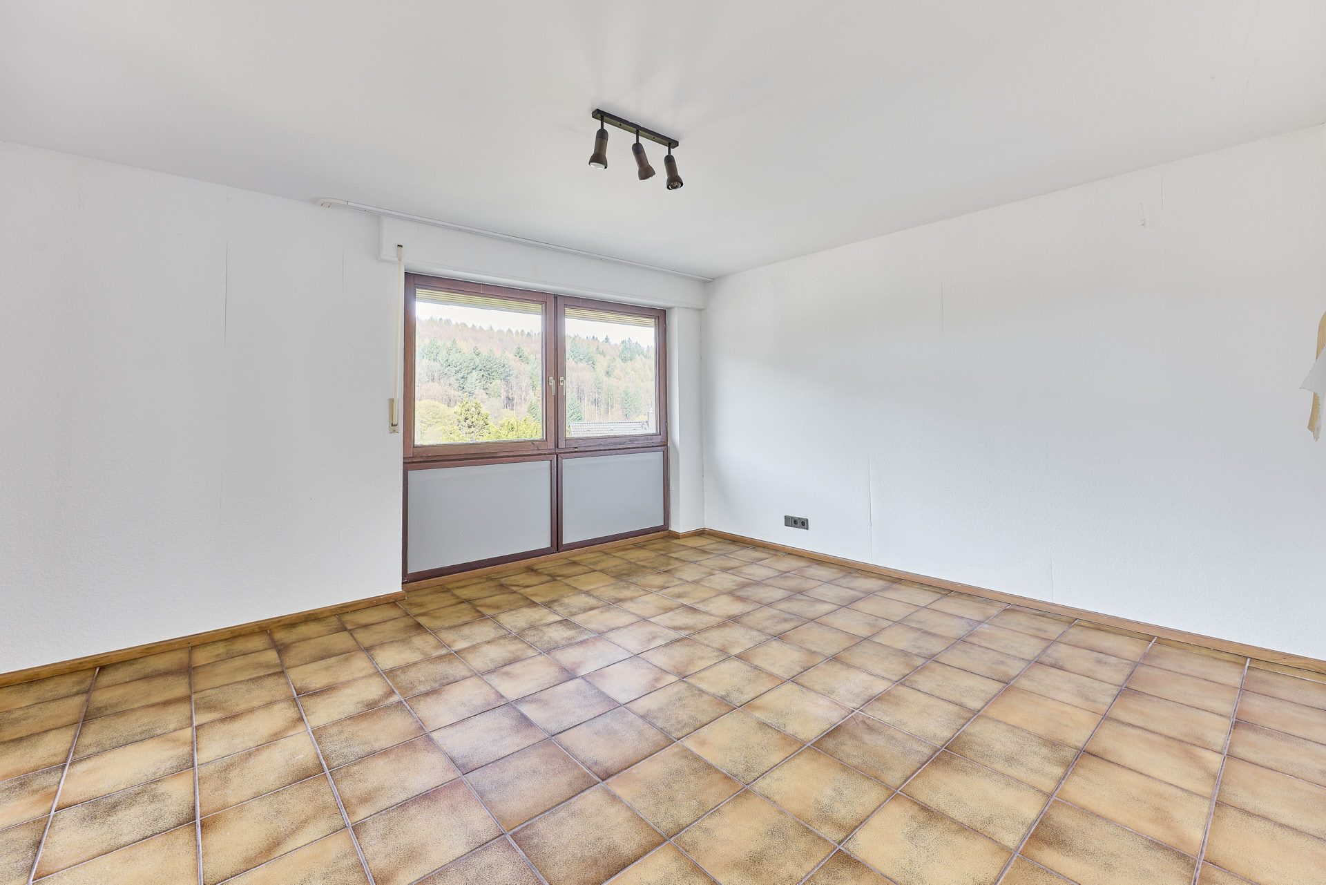 Immobilienangebot - Neckargemünd - Alle - Geräumiges Einfamilienhaus mit Einliegerwohnung in Neckargemünd