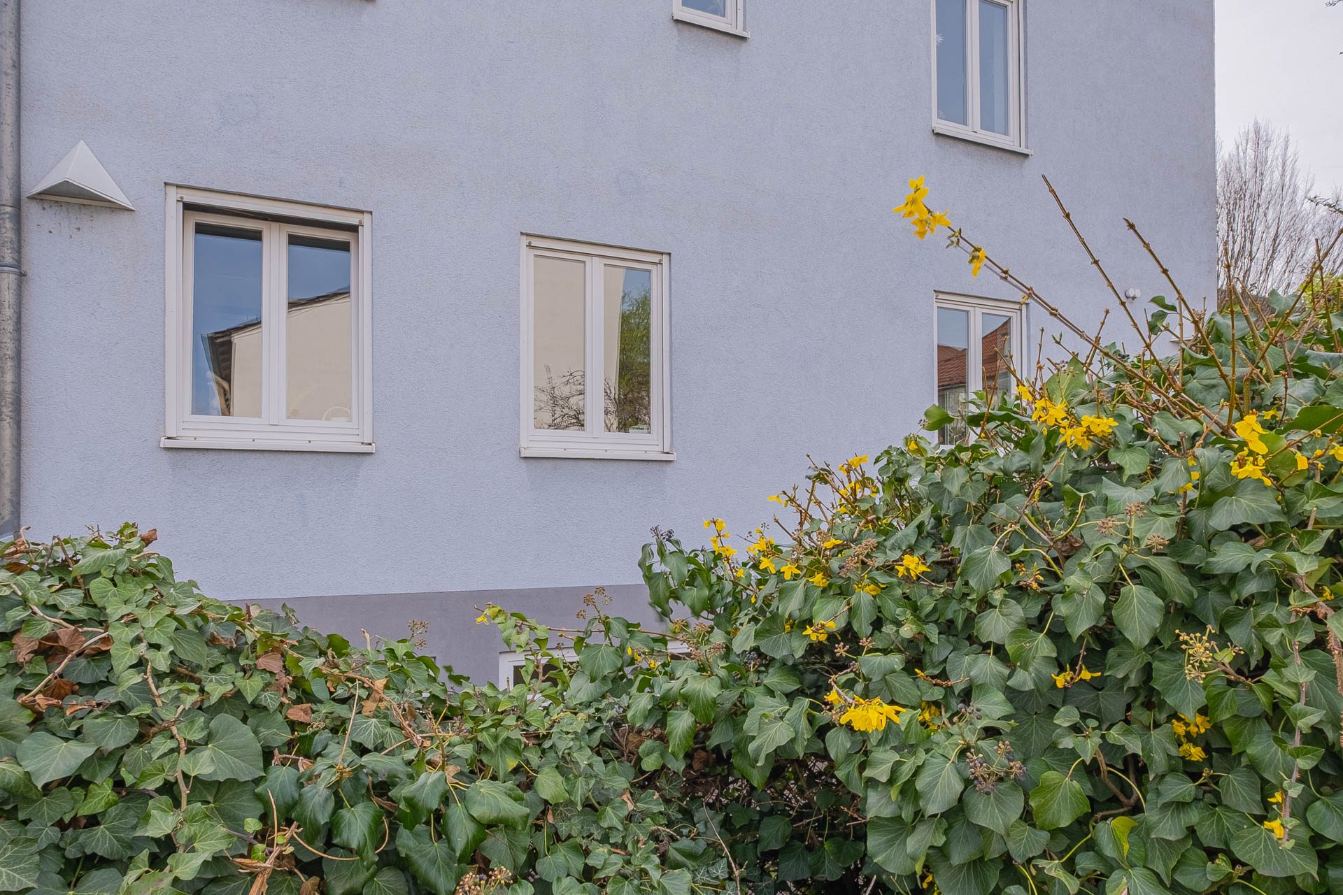 Immobilienangebot - Heidelberg - Alle - Wohnen in beliebter und zentraler Lage von Heidelberg