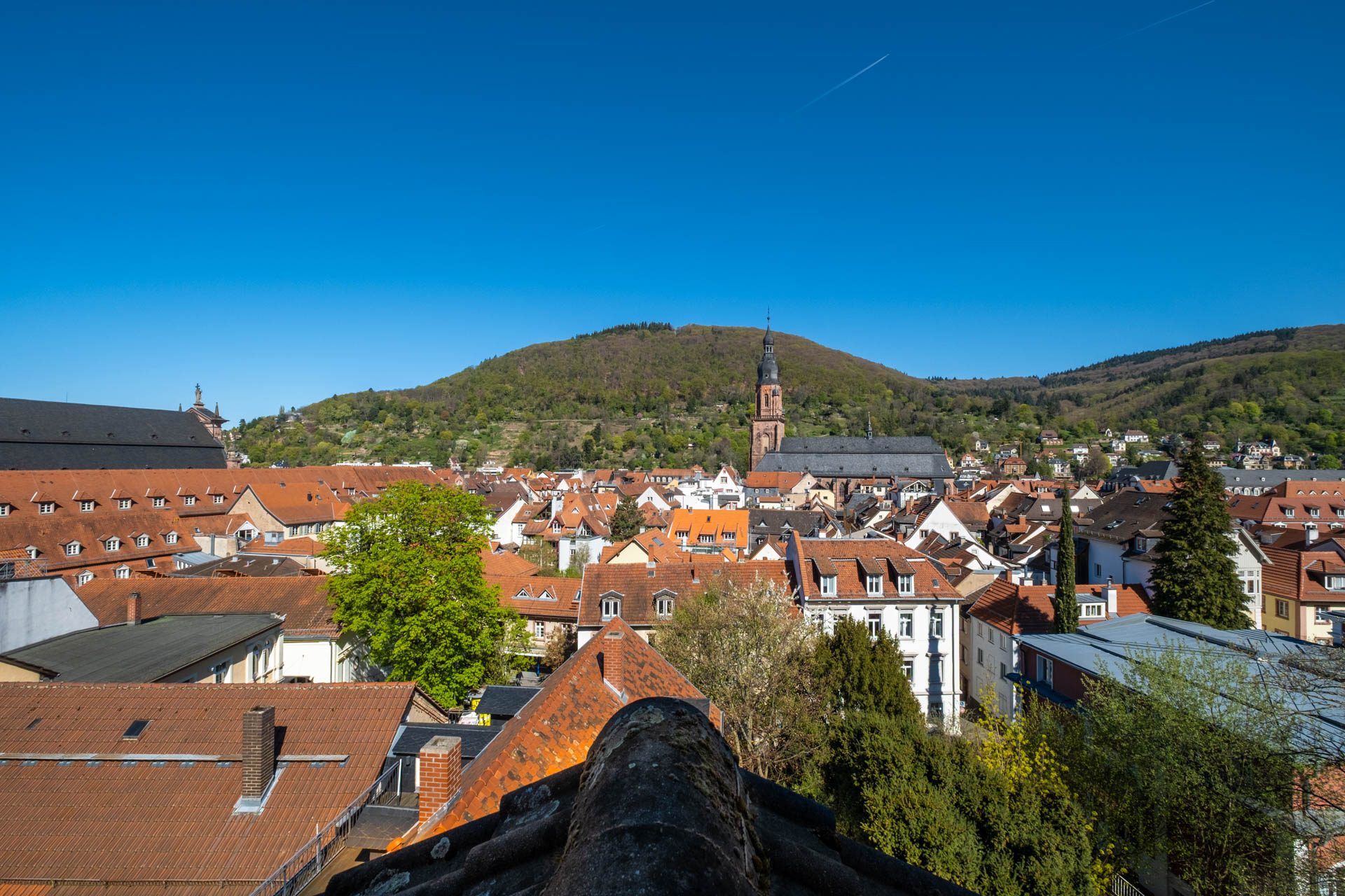 Immobilienangebot - Heidelberg - Alle - Ein Ausblick zum Verlieben: 4-Zimmer-DG-Wohnung mit Schlossblick in der Heidelberger Altstadt