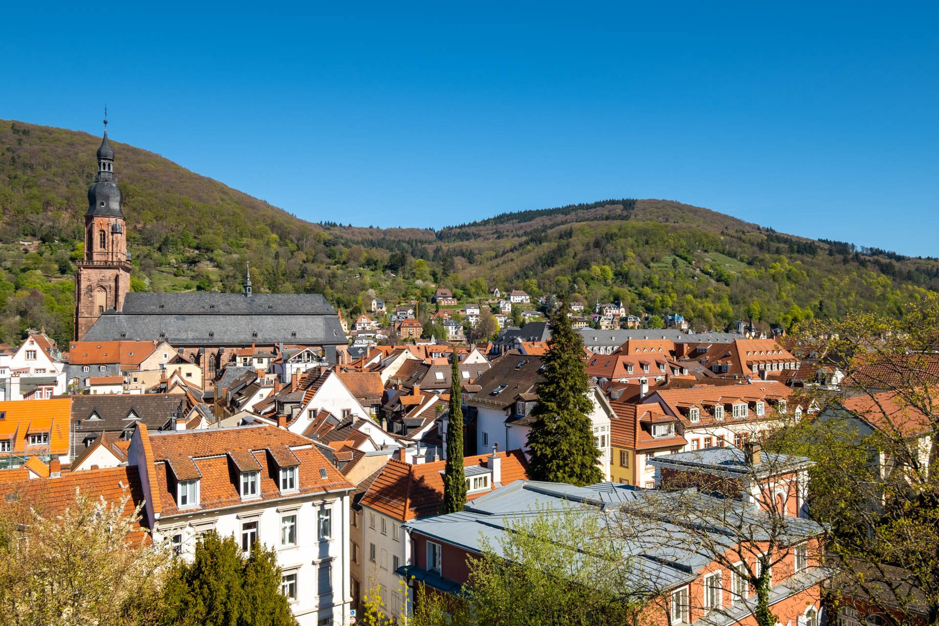 Immobilienangebot - Heidelberg - Alle - Ein Ausblick zum Verlieben: 4-Zimmer-DG-Wohnung mit Schlossblick in der Heidelberger Altstadt