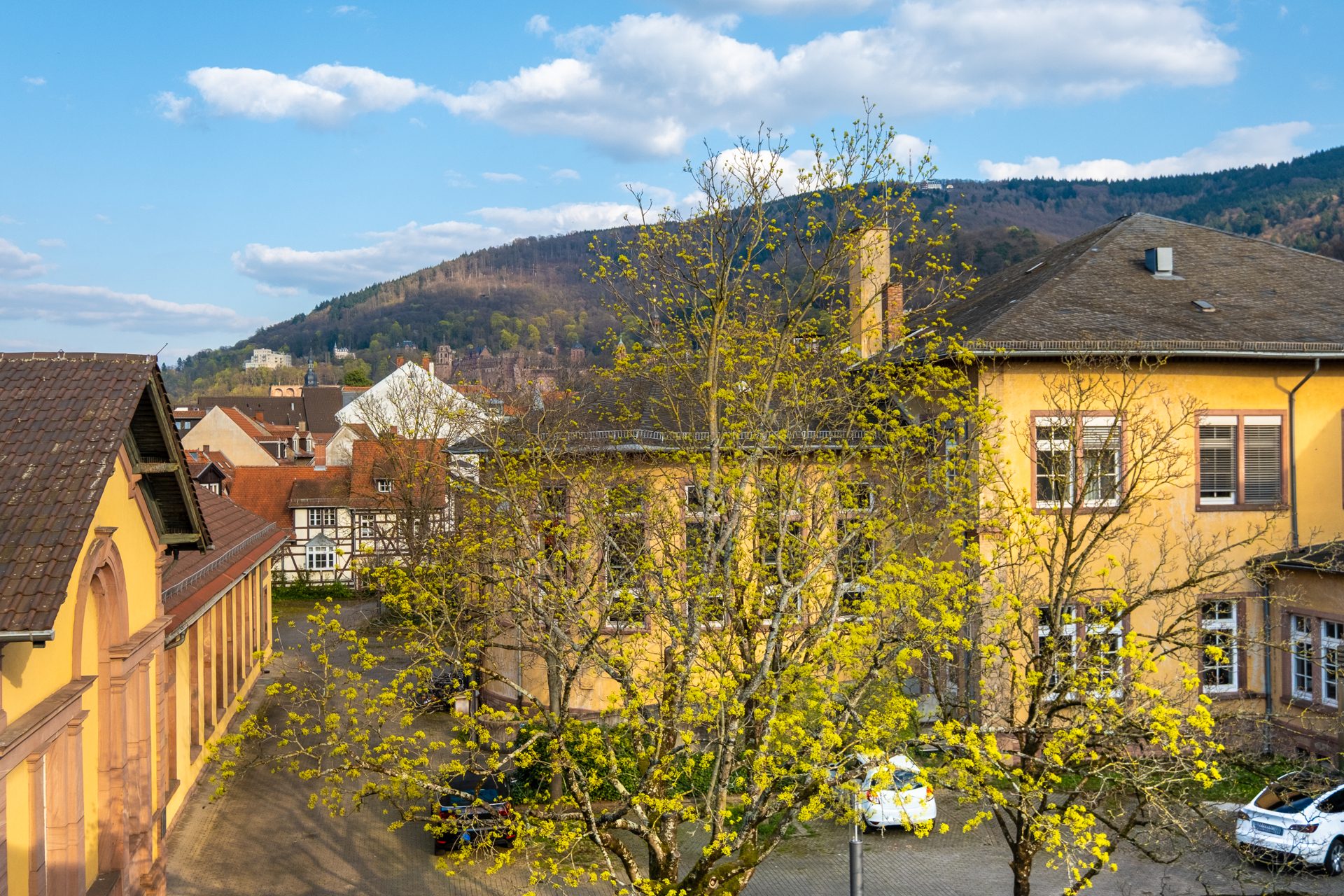 Immobilienangebot - Heidelberg - Alle - Bestlage der Heidelberger Altstadt: 2-Zimmer-Dachgeschosswohnung mit Kamin und Schlossblick