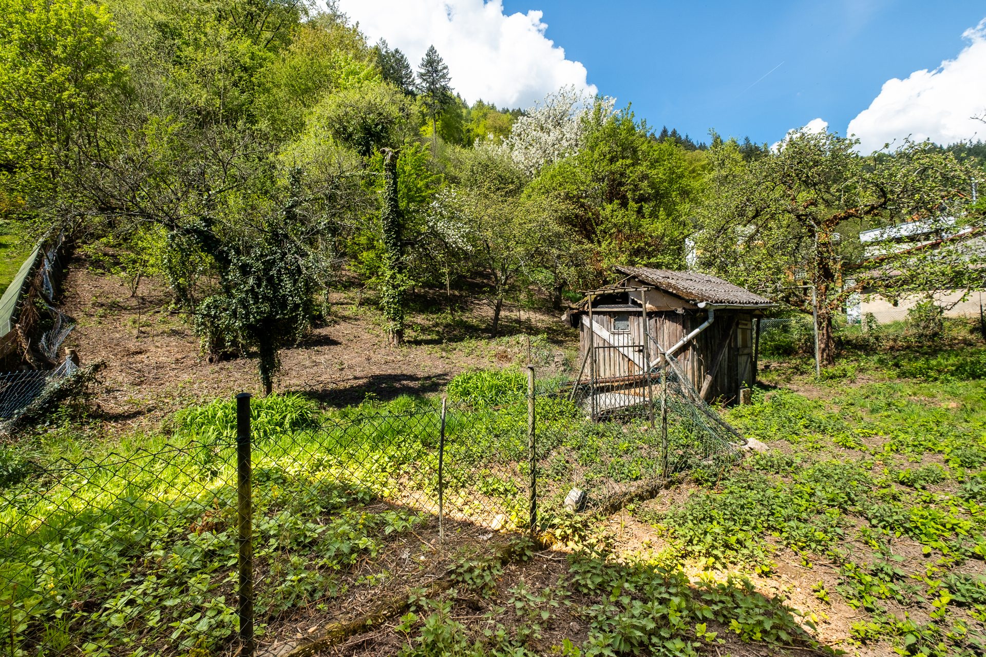 Immobilienangebot - Heidelberg / Ziegelhausen - Alle - Großzügig Wohnen mit Blick in die Natur: Zweifamilienhaus mit Einliegerwohnung in Ziegelhausen
