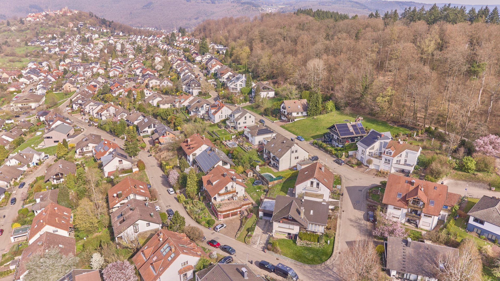 Immobilienangebot - Neckargemünd / Dilsberg - Alle - Viel Platz, viel Grün, viele Möglichkeiten – freistehendes Haus mit ELW in Neckargemünd/Dilsberg