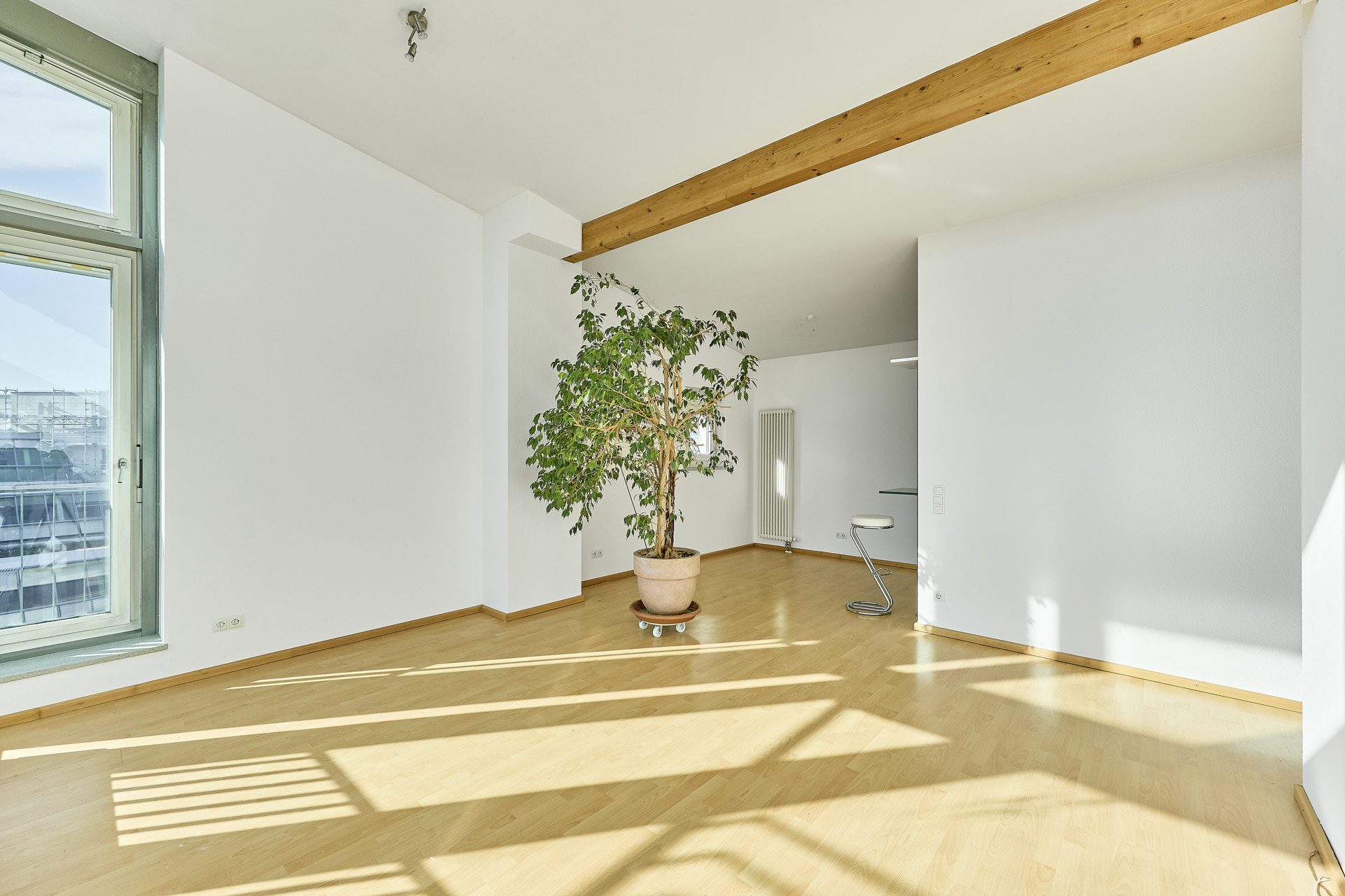 Immobilienangebot - Heidelberg - Alle - In Top-Lage: Ein Zuhause mit Leichtigkeit – lichtdurchflutetes Penthouse