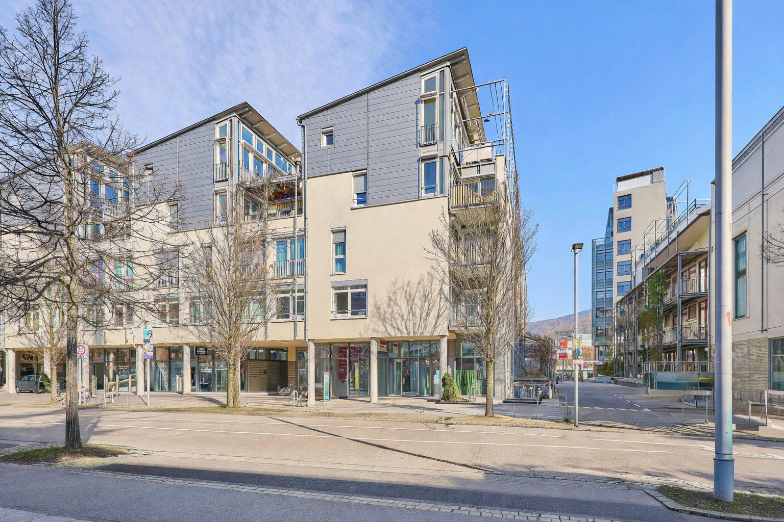 Immobilienangebot - Heidelberg - Alle - In Top-Lage: Ein Zuhause mit Leichtigkeit – lichtdurchflutetes Penthouse