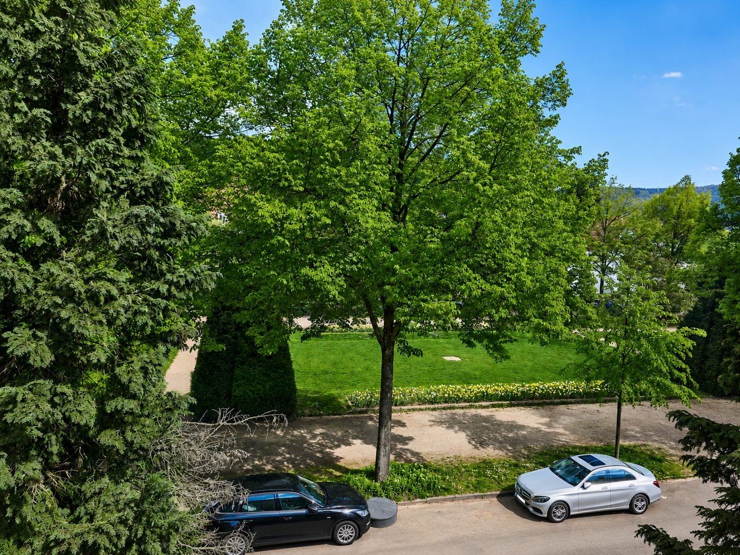 Immobilienangebot - Heidelberg - Alle - Rarität direkt am Werderplatz: 3,5-Zimmer-Wohnung mit Balkon und Stellplatz in Heidelberg-Neuenheim