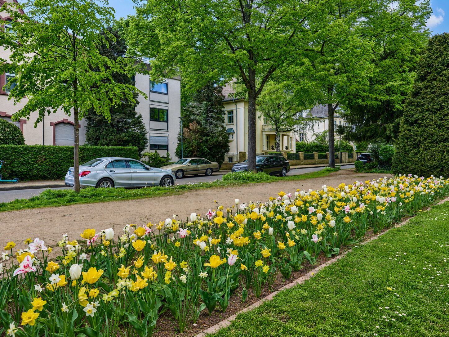 Immobilienangebot - Heidelberg - Alle - Rarität direkt am Werderplatz: 3,5-Zimmer-Wohnung mit Balkon und Stellplatz in Heidelberg-Neuenheim