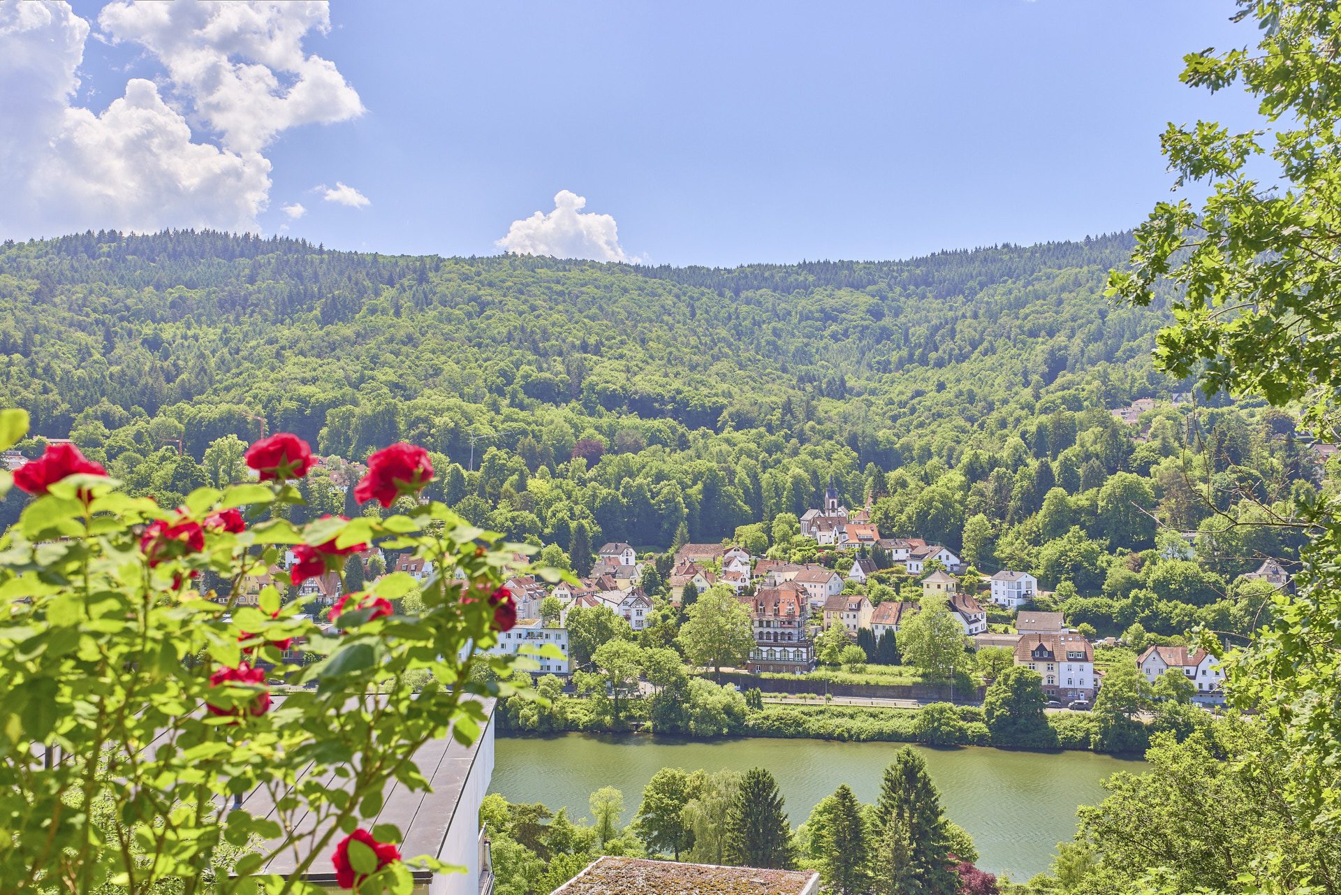 Immobilienangebot - Heidelberg / Ziegelhausen - Alle - Exklusive Doppelhaushälfte mit Panorama-Blick in Heidelberg-Ziegelhausen