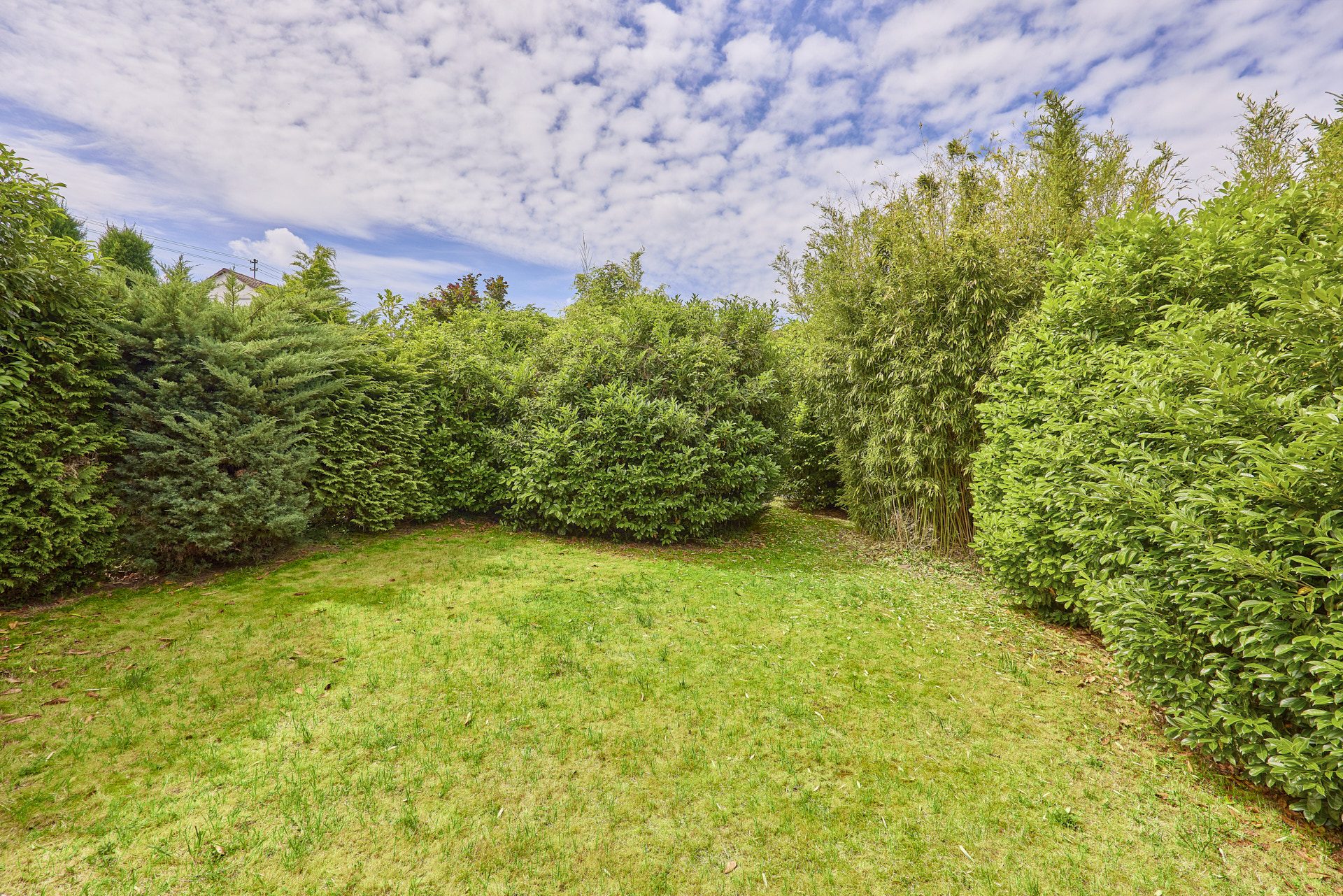 Immobilienangebot - Wiesloch - Alle - Ein besonderes Zuhause für die Familie: Repräsentatives Wohnhaus mit großem Garten in begehrter Lage