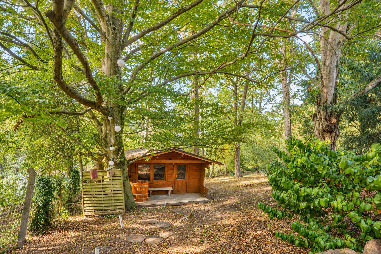 Immobilienangebot - Neckargemünd - Alle - Freistehendes Einfamilienhaus in außergewöhnlich ruhiger Lage von Neckargemünd