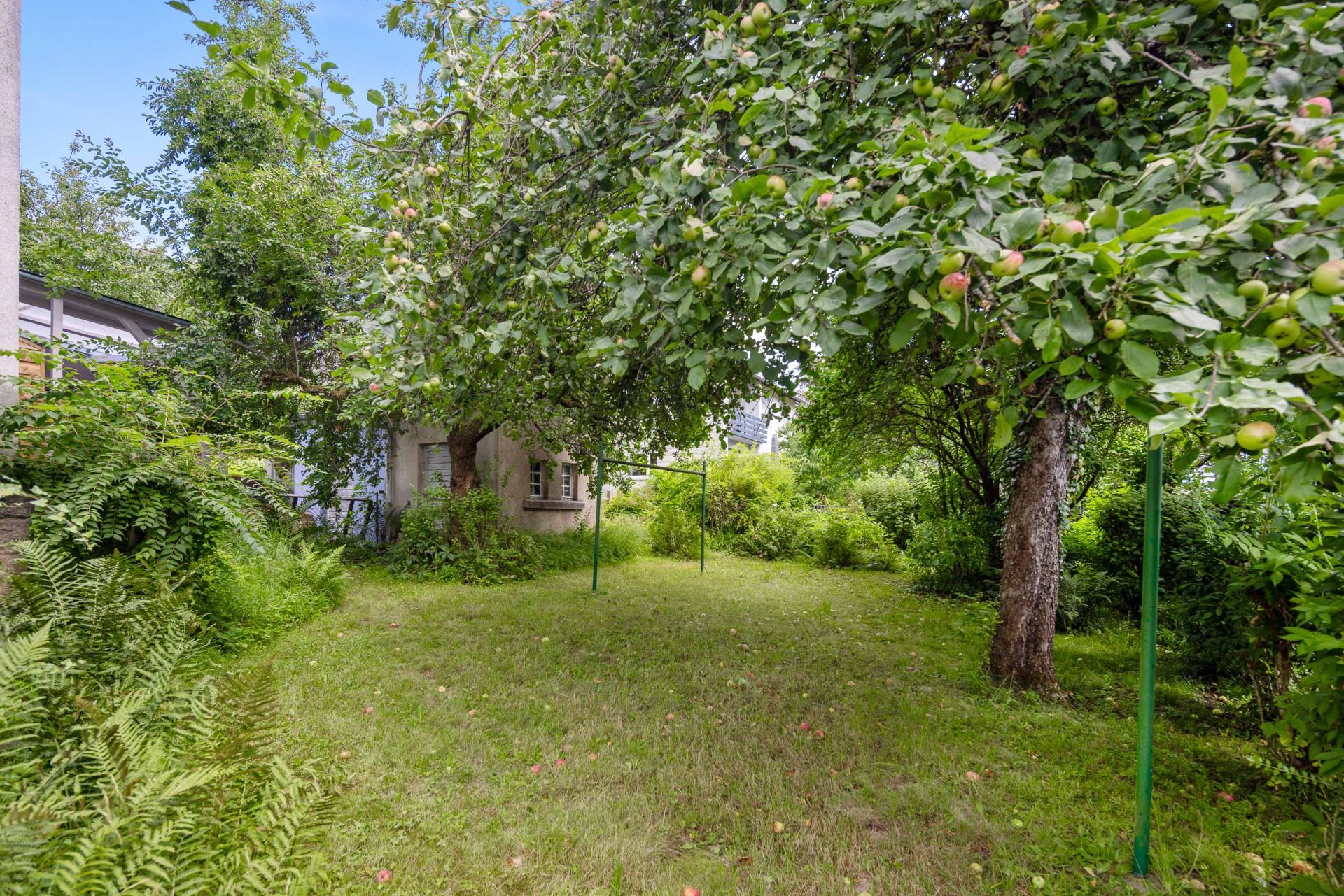 Immobilienangebot - Münchberg - Häuser - Familienglück in Münchberg: Charmante Doppelhaushälfte mit Gestaltungspotenzial