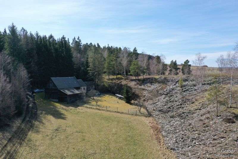 Immobilienangebot - Berg-Tiefengrün - Grundstücke - Landwirtschaftliche Grundstücke bei Berg, Platz für 2 Pferde?