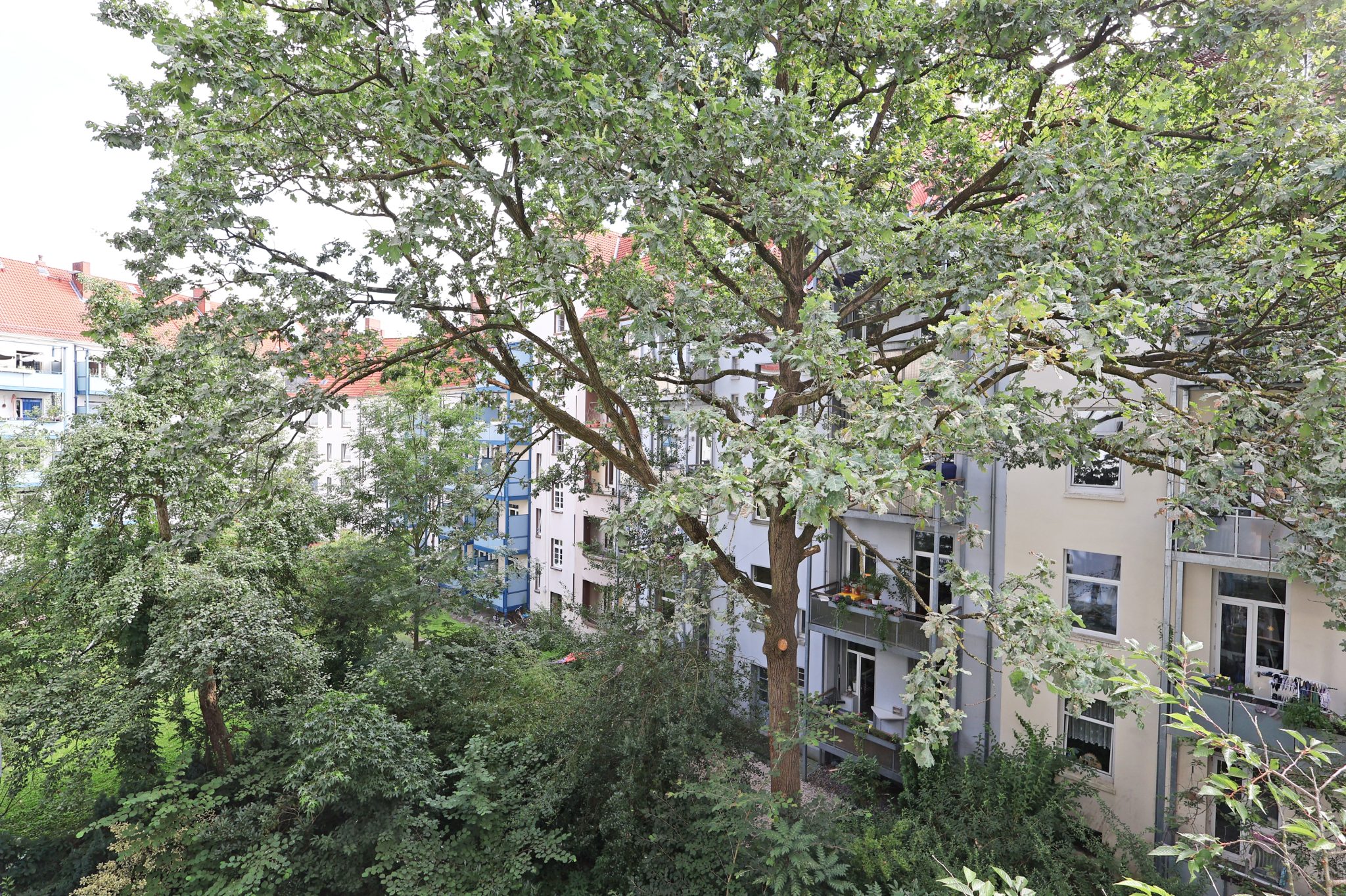 Immobilienangebot - Hannover - Alle - Altbauwohnung mit Charme in bester Lage von Hannover
