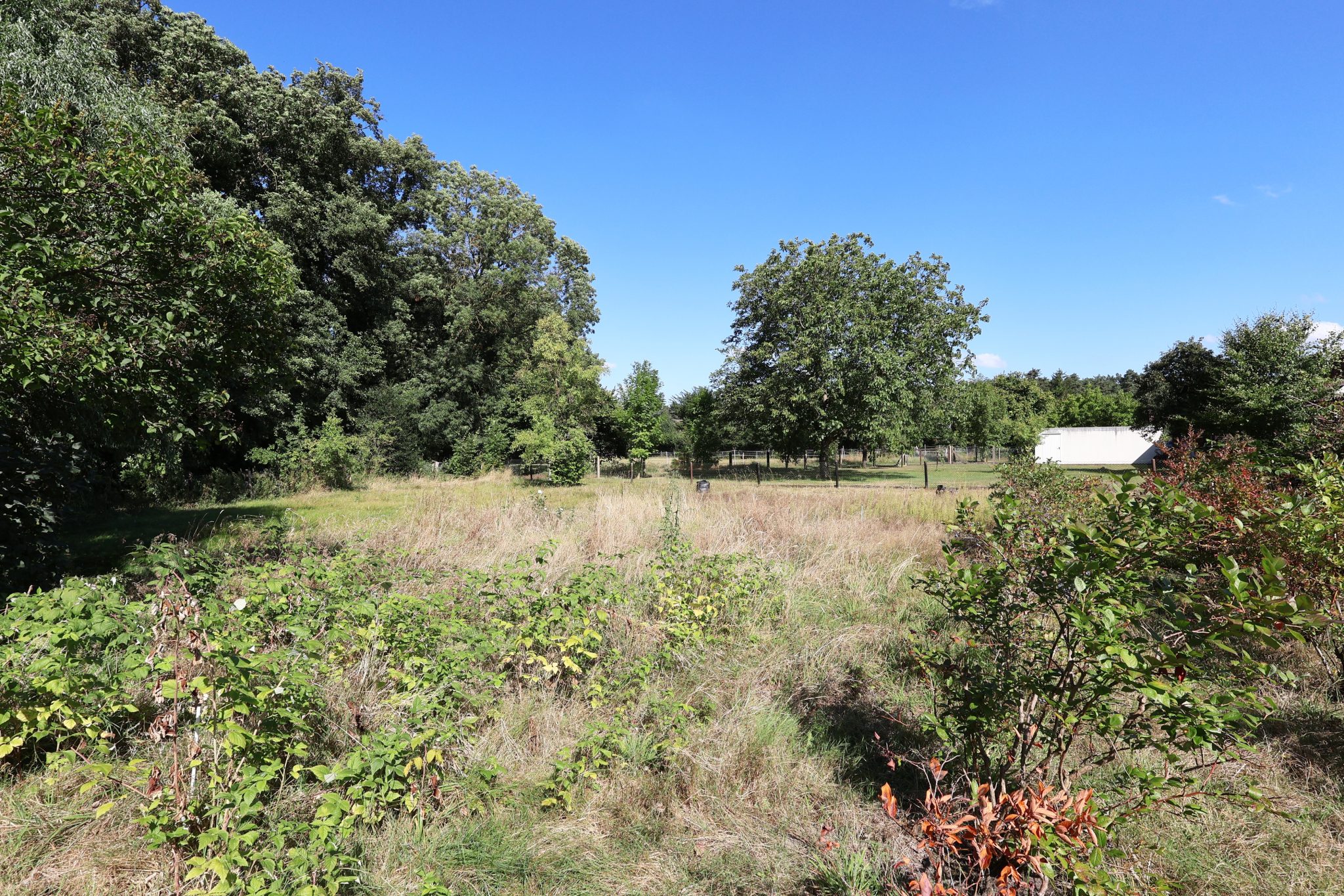Immobilienangebot - Wunstorf - Alle - Raum für Familie und Natur: Einfamilienhaus mit großem Garten in Großenheidorn