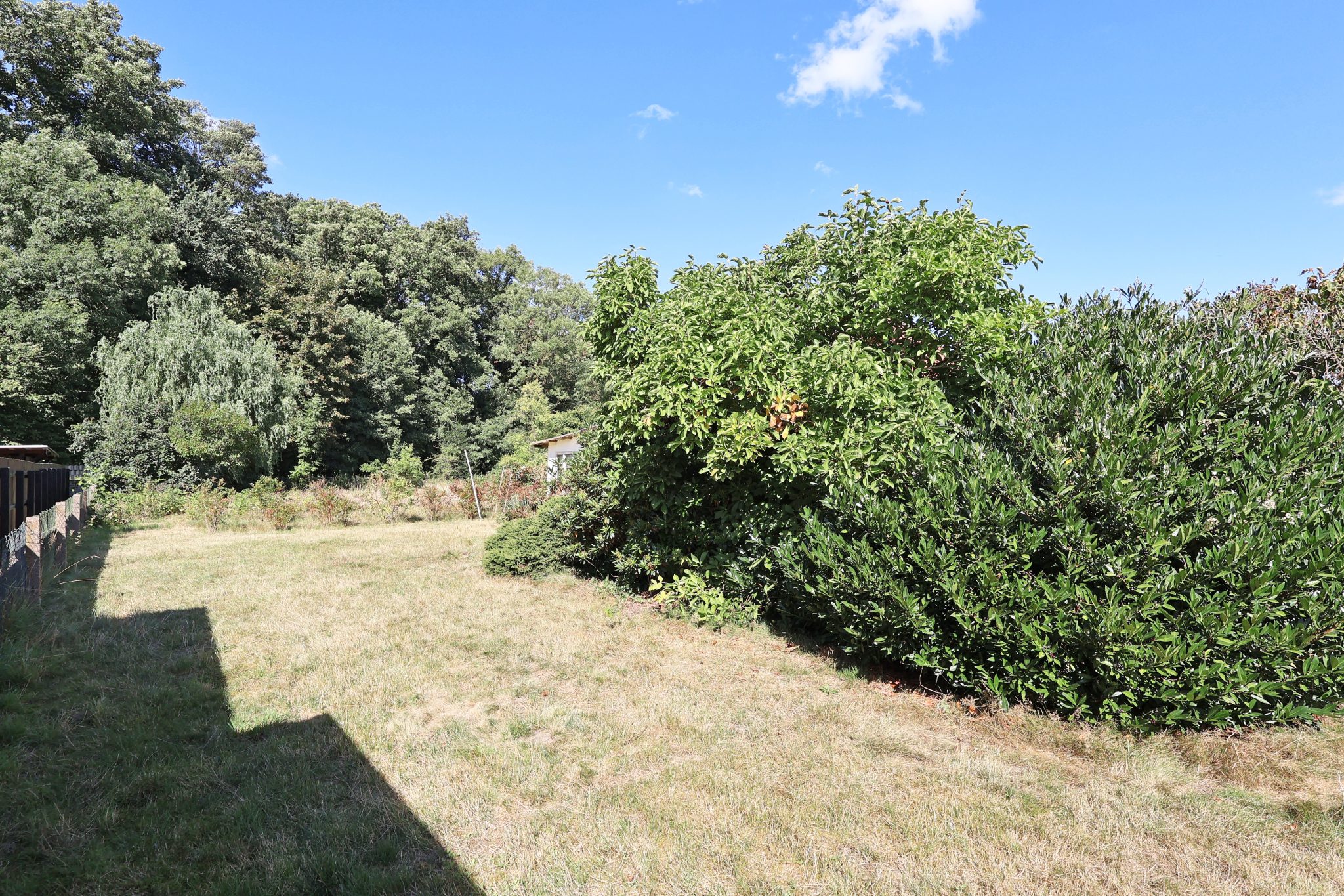 Immobilienangebot - Wunstorf - Alle - Raum für Familie und Natur: Einfamilienhaus mit großem Garten in Großenheidorn