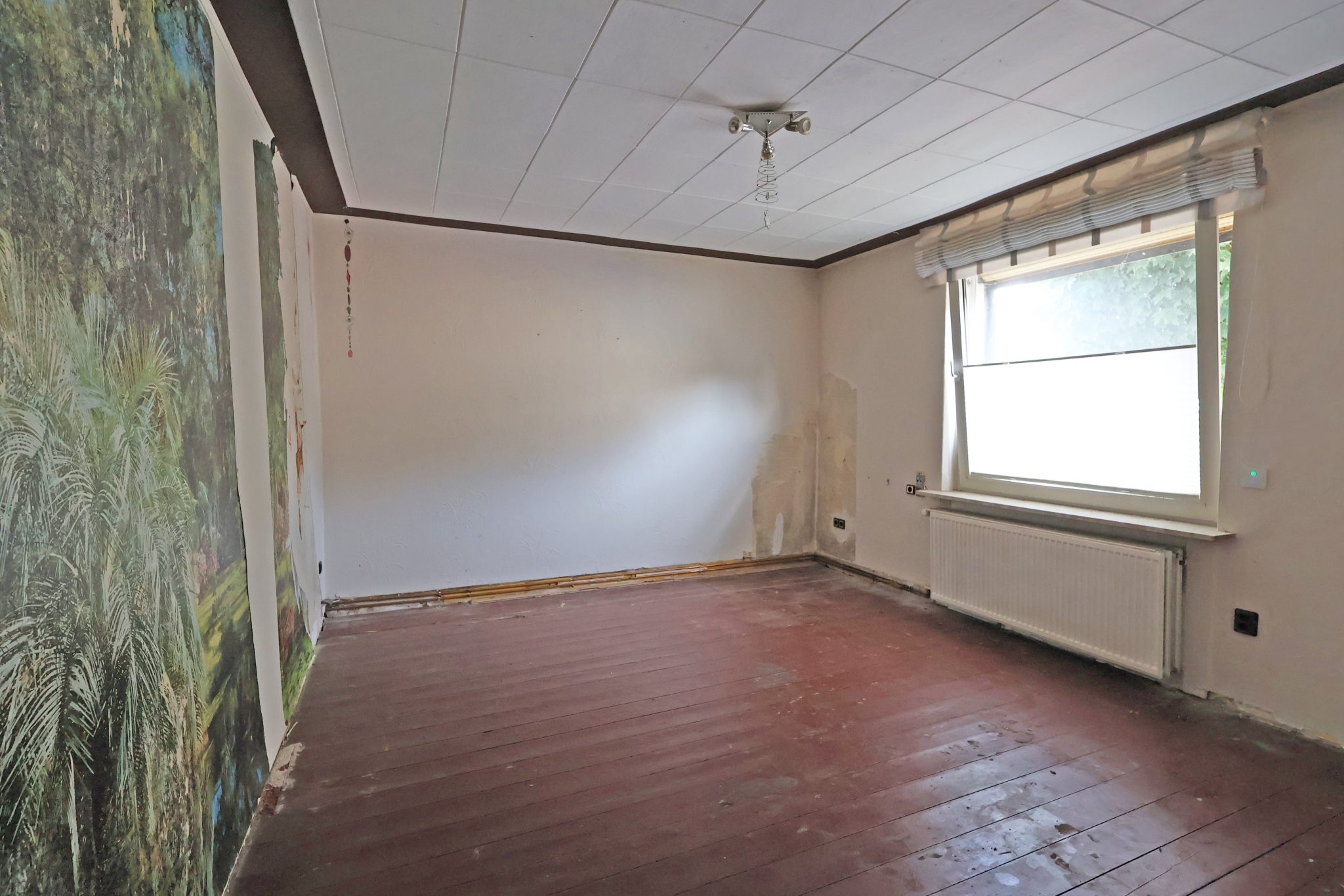 Immobilienangebot - Wunstorf - Alle - Fachwerkhaus mit vielen Nutzungsmöglichkeiten in  TOP-Lage von Steinhude