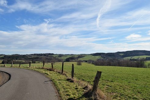 Aussicht in Much - Wohnsache Immobilien - Ihr Immobilienmakler für den Rhein-Sieg-Kreis