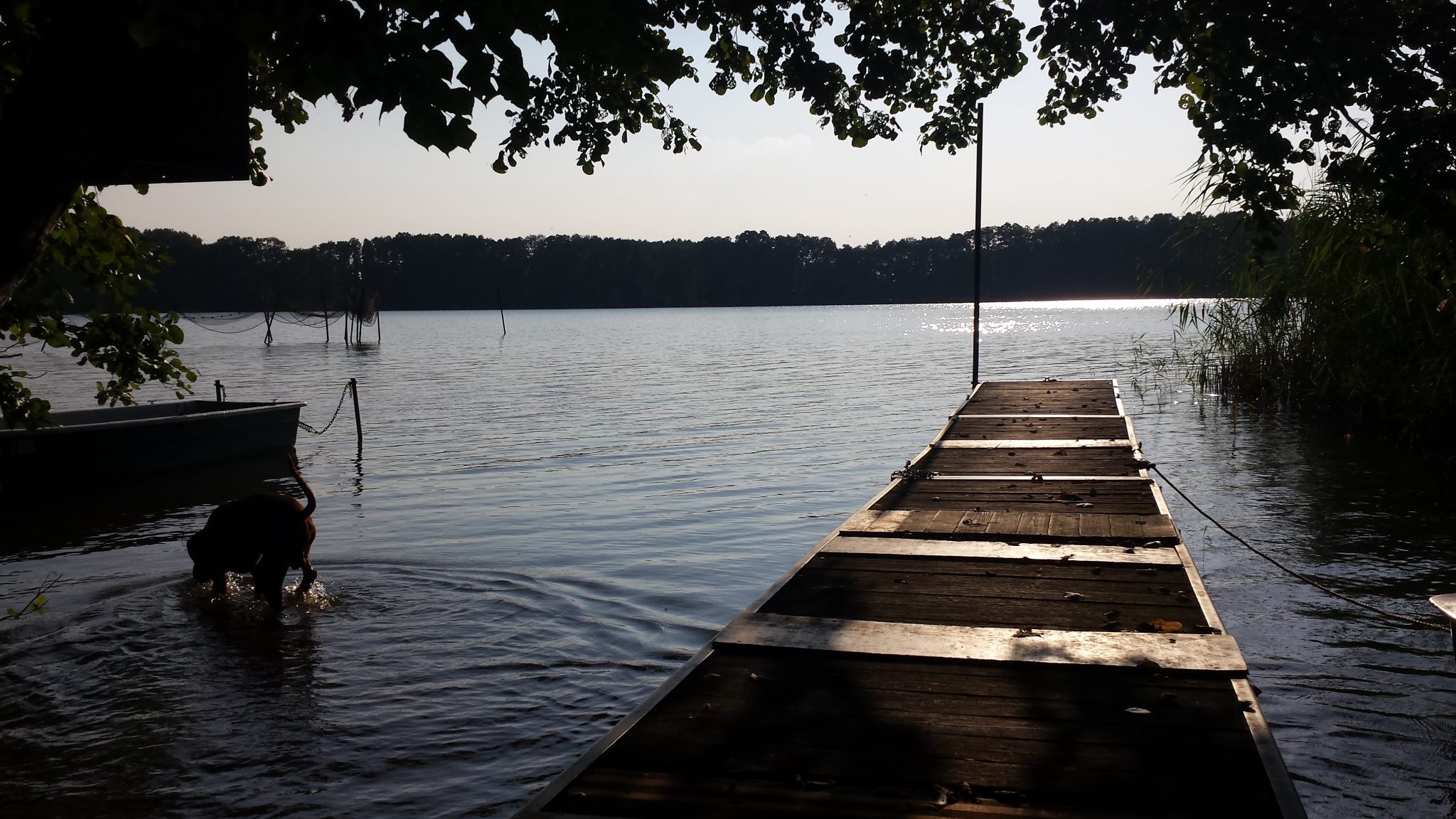 Immobilienangebot - Altseehof - Alle - Der Sommer 2024 ist reserviert - Blick auf den See gesichert