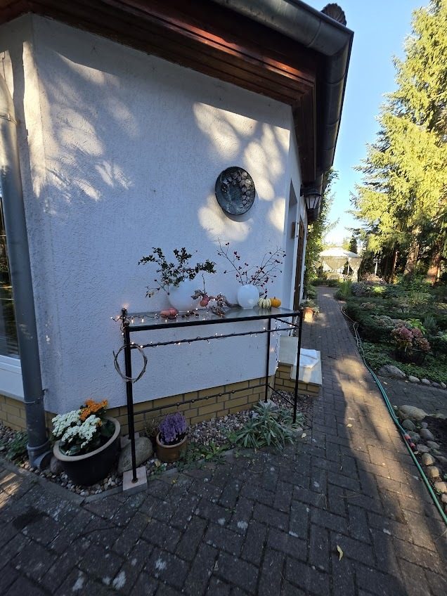 Immobilienangebot - Alt Ruppin - Alle - Alte Bäume, viel Grün und außergewöhnlich viel Platz – Ein Zuhause zum Ankommen