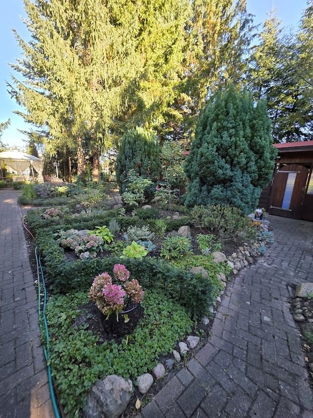 Immobilienangebot - Alt Ruppin - Alle - Alte Bäume, viel Grün und außergewöhnlich viel Platz – Ein Zuhause zum Ankommen