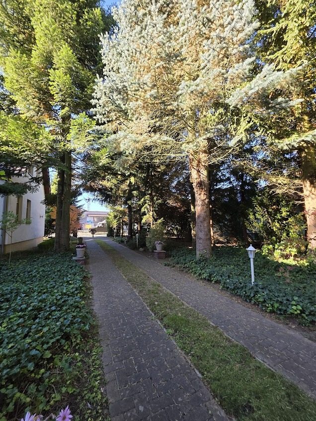 Immobilienangebot - Alt Ruppin - Alle - Alte Bäume, viel Grün und außergewöhnlich viel Platz – Ein Zuhause zum Ankommen