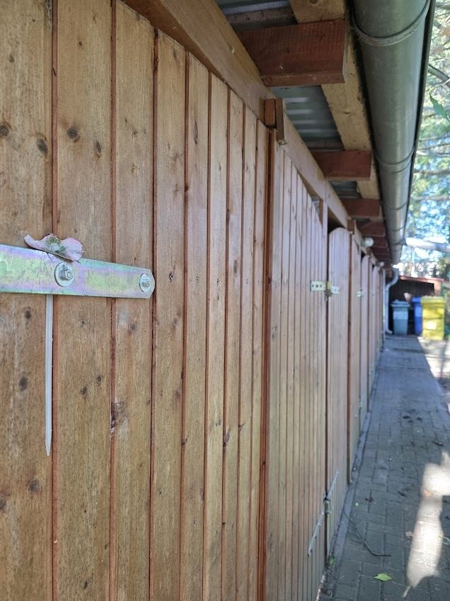 Immobilienangebot - Alt Ruppin - Alle - Für Menschen mit Platzbedarf – Großzügiges Zuhause in grüner Umgebung