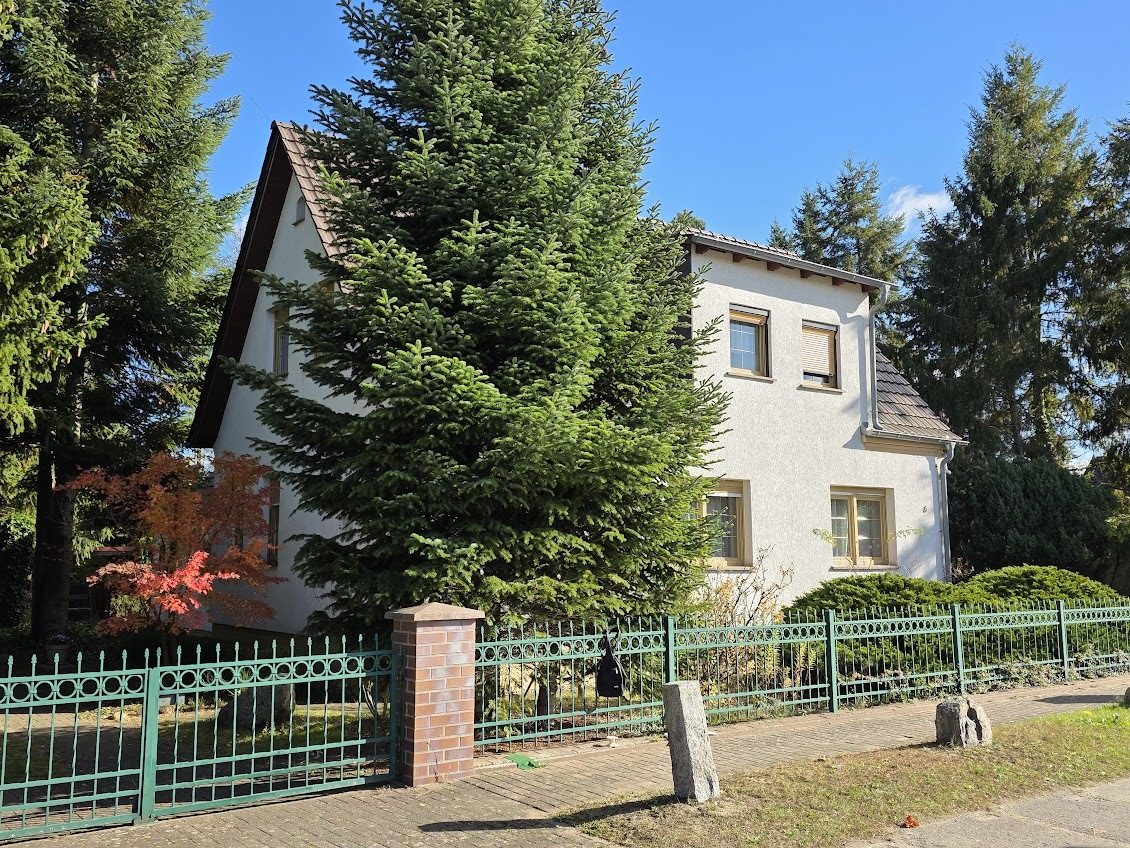 Immobilienangebot - Alt Ruppin - Alle - Alte Bäume, viel Grün und außergewöhnlich viel Platz – Ein Zuhause zum Ankommen