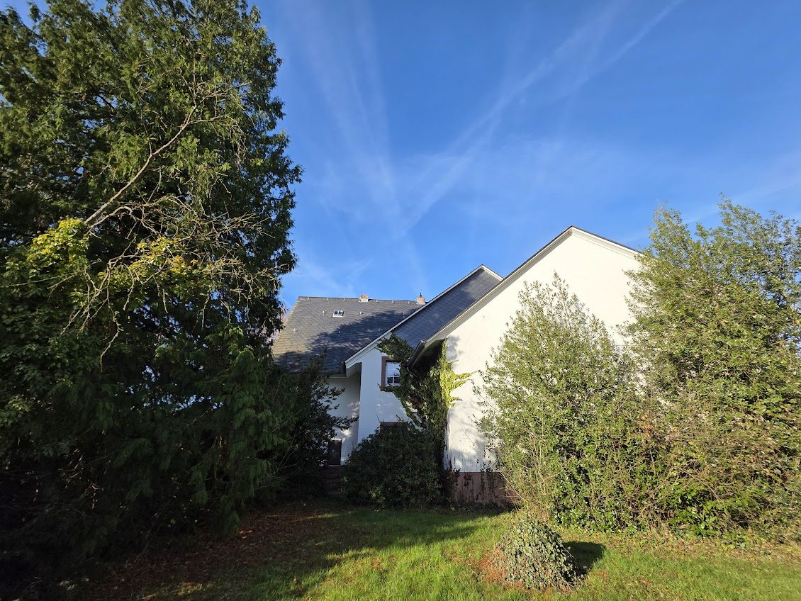 Immobilienangebot - Wittlich - Alle - Massiv gebaut, bereit für Ihre Ideen – nur 5 km bis Wittlich