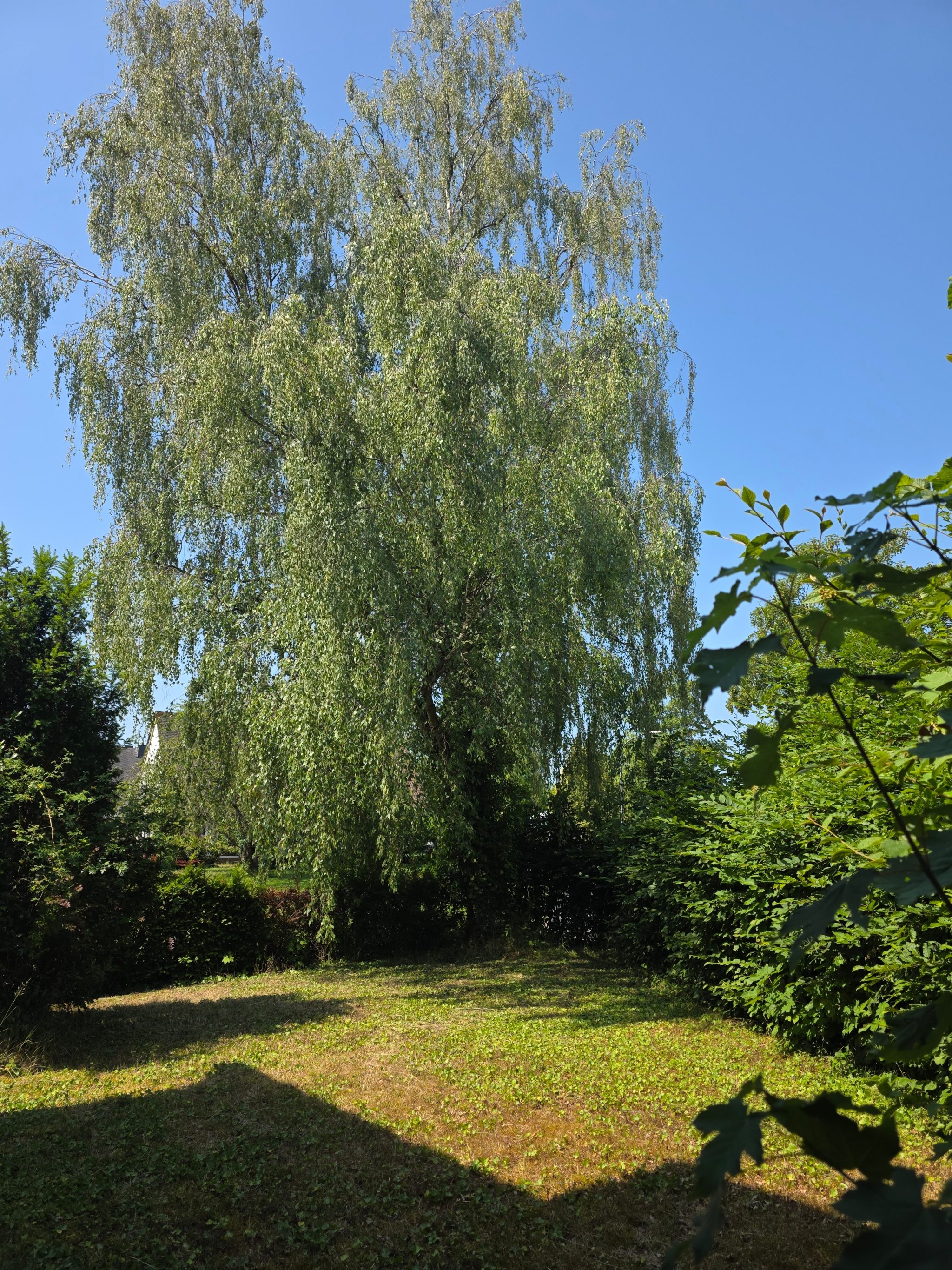 Immobilienangebot - Wittlich - Alle - Massiv gebaut, bereit für Ihre Ideen – nur 5 km bis Wittlich