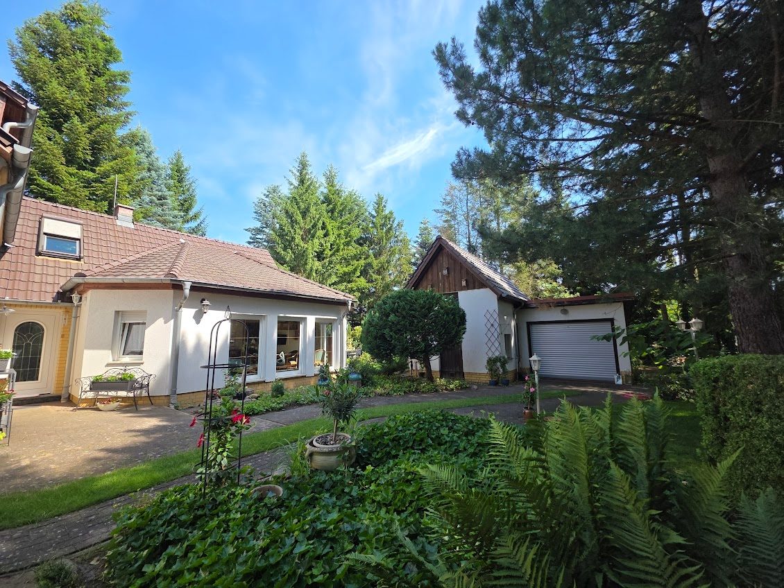 Immobilienangebot - Alt Ruppin - Alle - Alte Bäume, viel Grün und außergewöhnlich viel Platz – Ein Zuhause zum Ankommen
