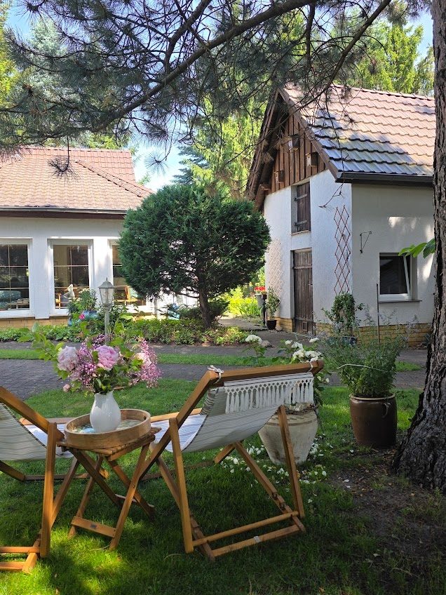Immobilienangebot - Alt Ruppin - Alle - Alte Bäume, viel Grün und außergewöhnlich viel Platz – Ein Zuhause zum Ankommen