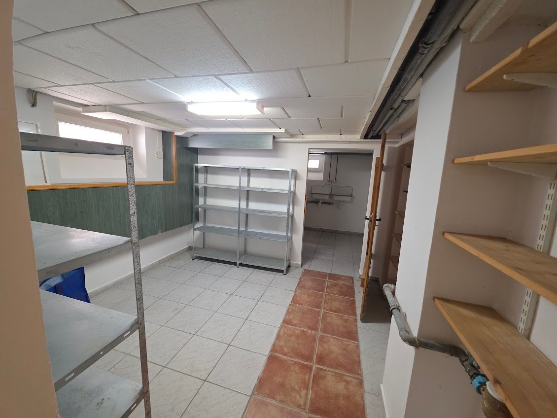 Immobilienangebot - Alt Ruppin - Alle - Alte Bäume, viel Grün und außergewöhnlich viel Platz – Ein Zuhause zum Ankommen