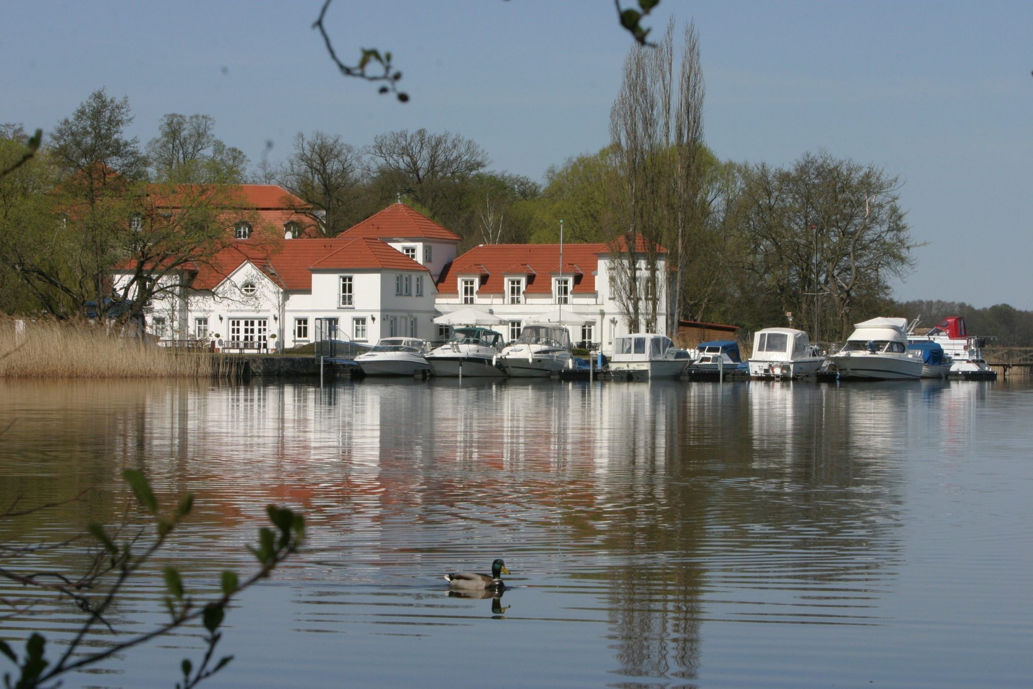 Immobilienangebot - Wustrau - Alle - Private Seeresidenz am Ruppiner See – Raum für Familie, Freunde und besondere Momente