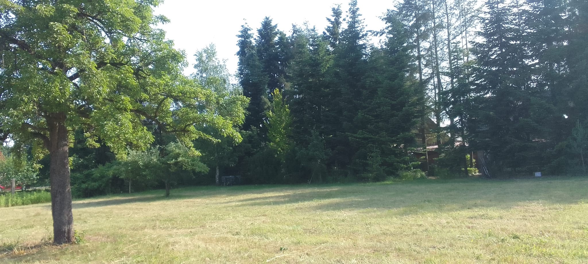 Immobilienangebot - Alt Ruppin - Alle - Für Menschen mit Platzbedarf – Großzügiges Zuhause in grüner Umgebung