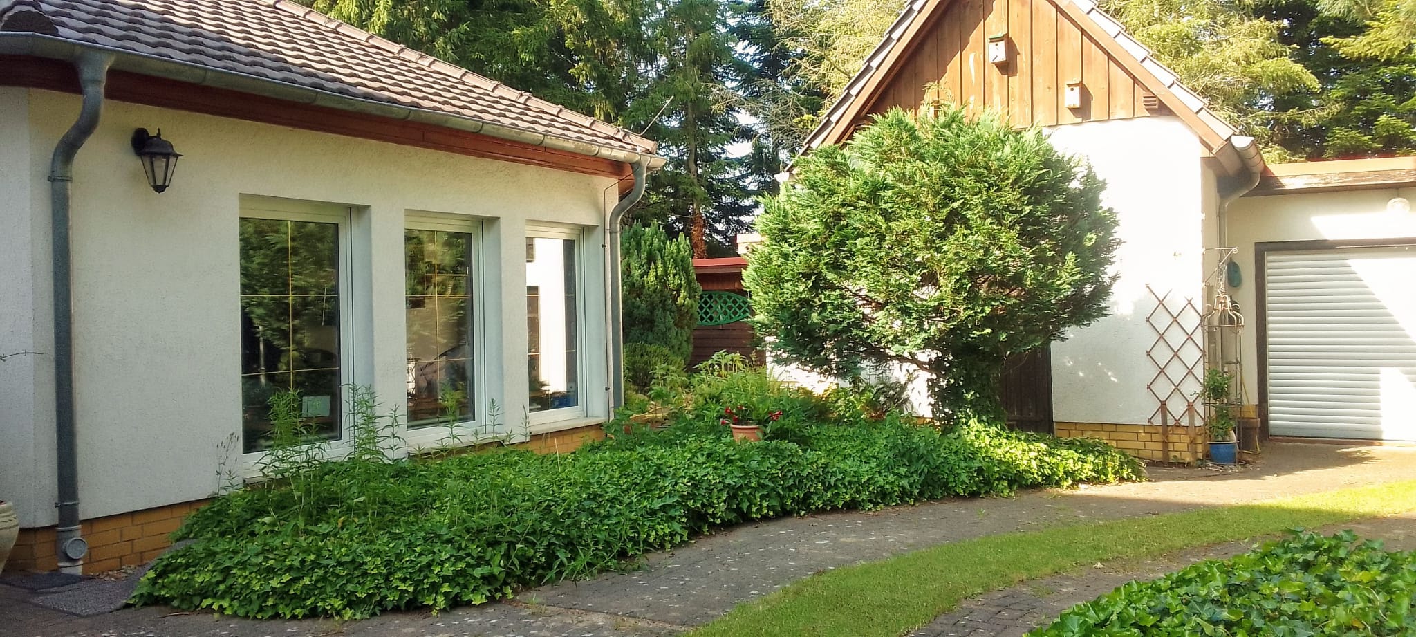 Immobilienangebot - Alt Ruppin - Alle - Alte Bäume, viel Grün und außergewöhnlich viel Platz – Ein Zuhause zum Ankommen