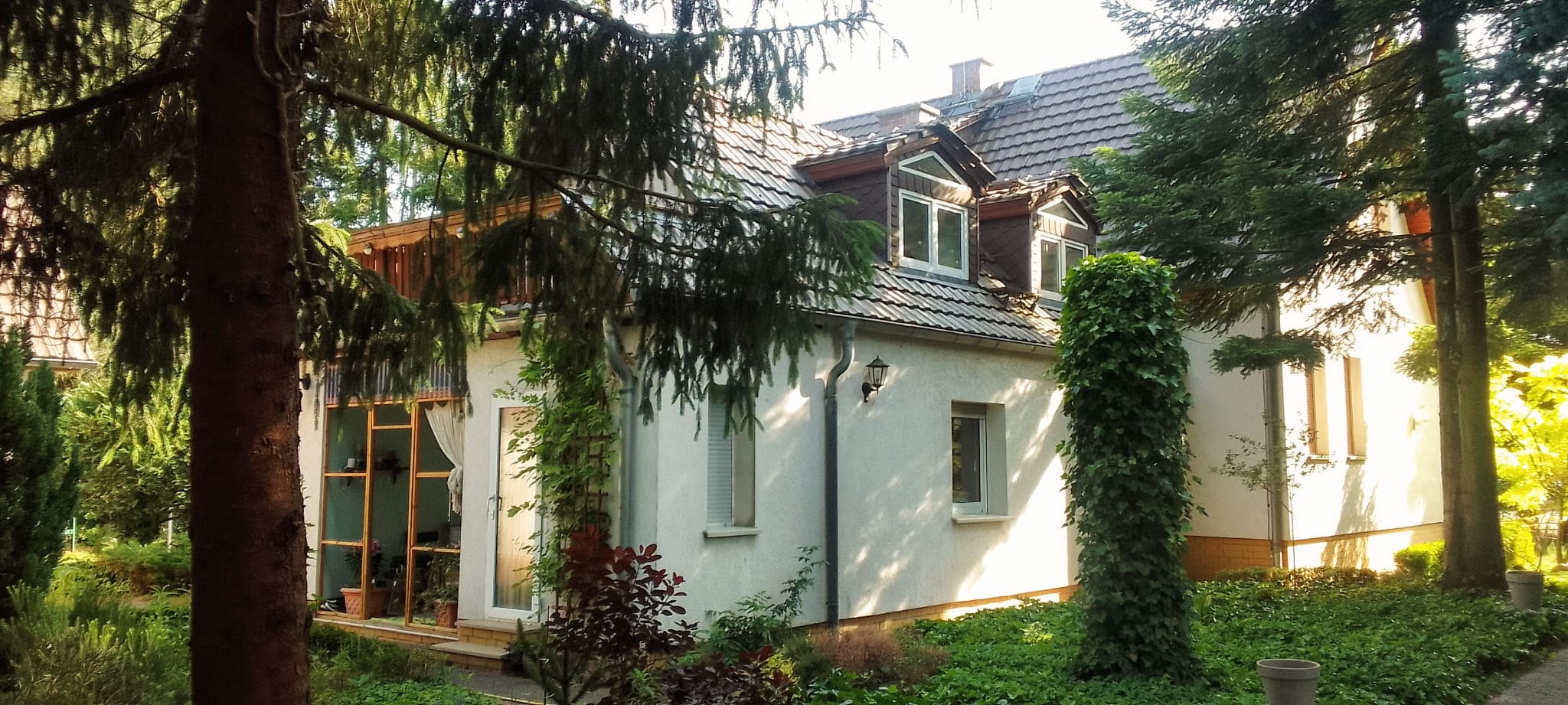 Immobilienangebot - Alt Ruppin - Alle - Alte Bäume, viel Grün und außergewöhnlich viel Platz – Ein Zuhause zum Ankommen