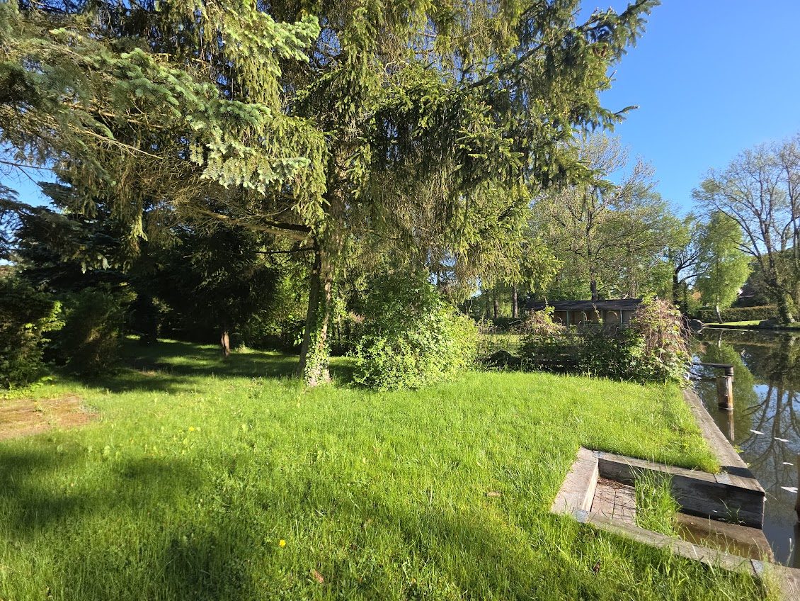 Immobilienangebot - Alt Ruppin - Alle - Direkt am Rhin: Haus im Altstadtkern mit Gäste-Bungalow und privater Uferfront