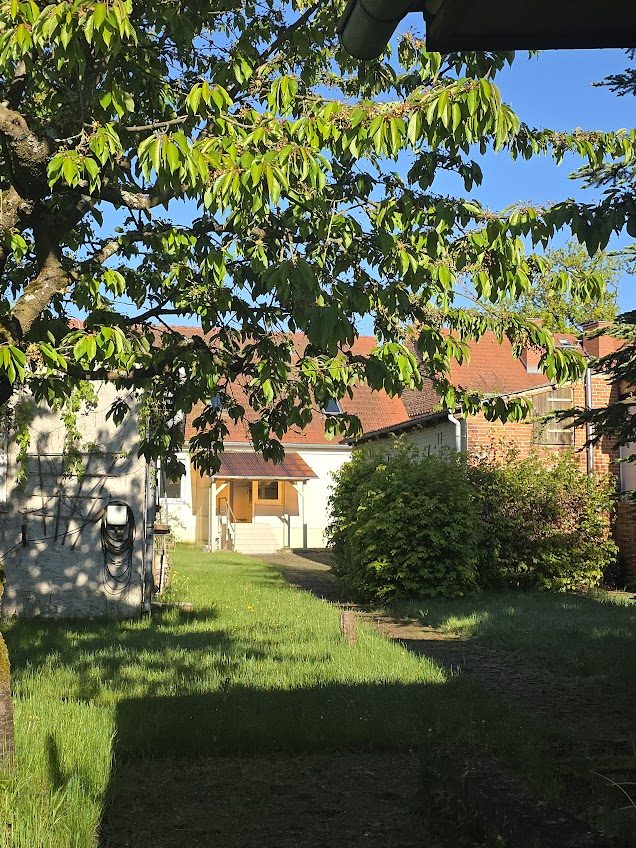 Immobilienangebot - Alt Ruppin - Alle - Direkt am Rhin: Haus im Altstadtkern mit Gäste-Bungalow und privater Uferfront