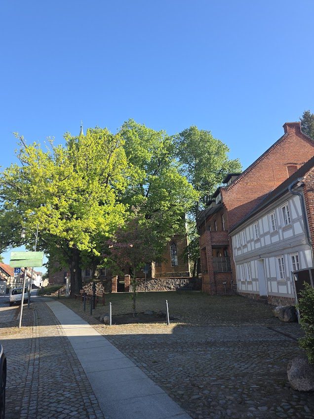Immobilienangebot - Alt Ruppin - Alle - Direkt am Rhin: Haus im Altstadtkern mit Gäste-Bungalow und privater Uferfront