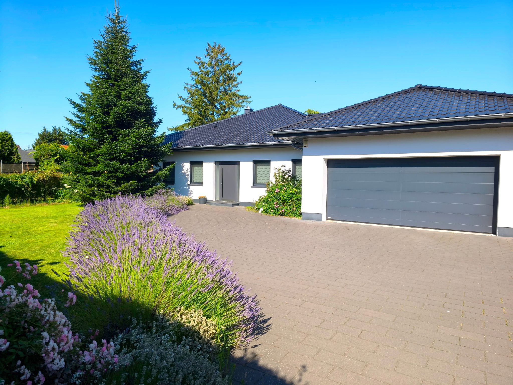Immobilienangebot - Neuruppin - Alle - Moderner Bungalow mit A+ und kurzem Weg zum Ruppiner See