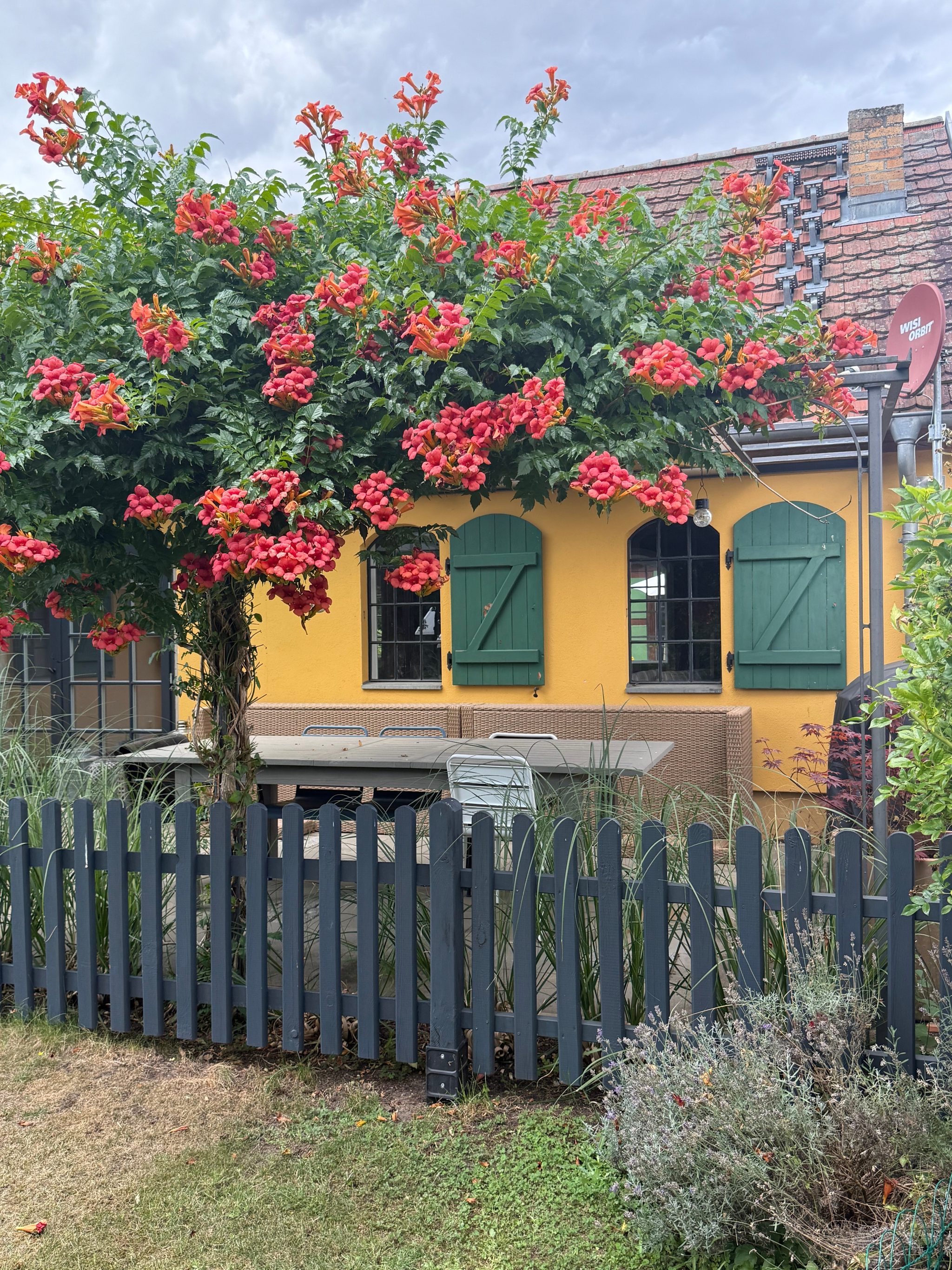 Immobilienangebot - Wustrau - Alle - Verstecktes Kleinod mit Vorderhaus, ausgebauter Remise und großem Garten
