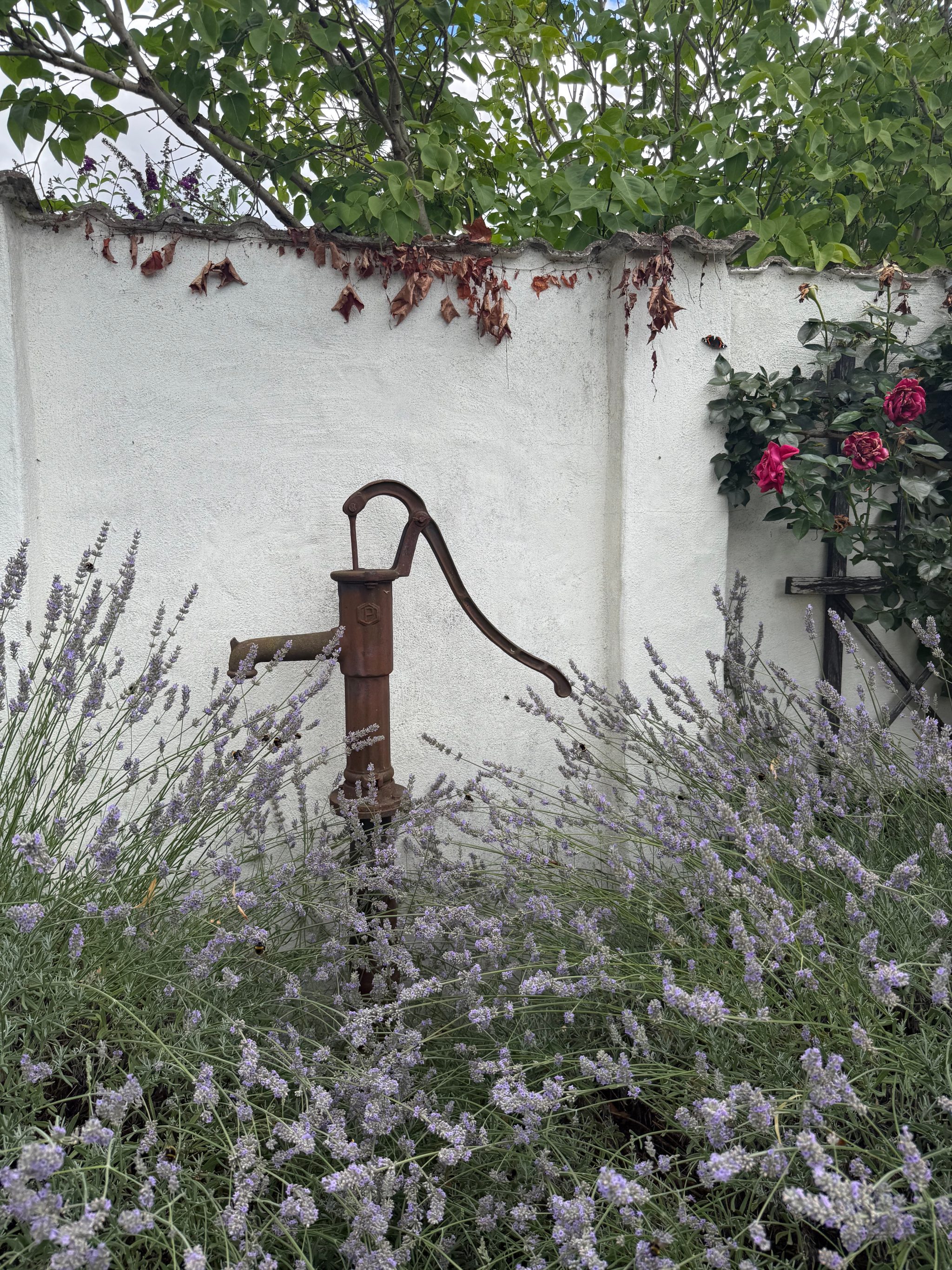 Immobilienangebot - Wustrau - Alle - Verstecktes Kleinod mit Vorderhaus, ausgebauter Remise und großem Garten