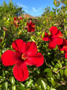 Immobilienangebot - Mallorca (Portocolom) - Alle - Exklusive Finca mit Gastronomielizenz – Raum für Visionen und außergewöhnliche Nutzungskonzepte