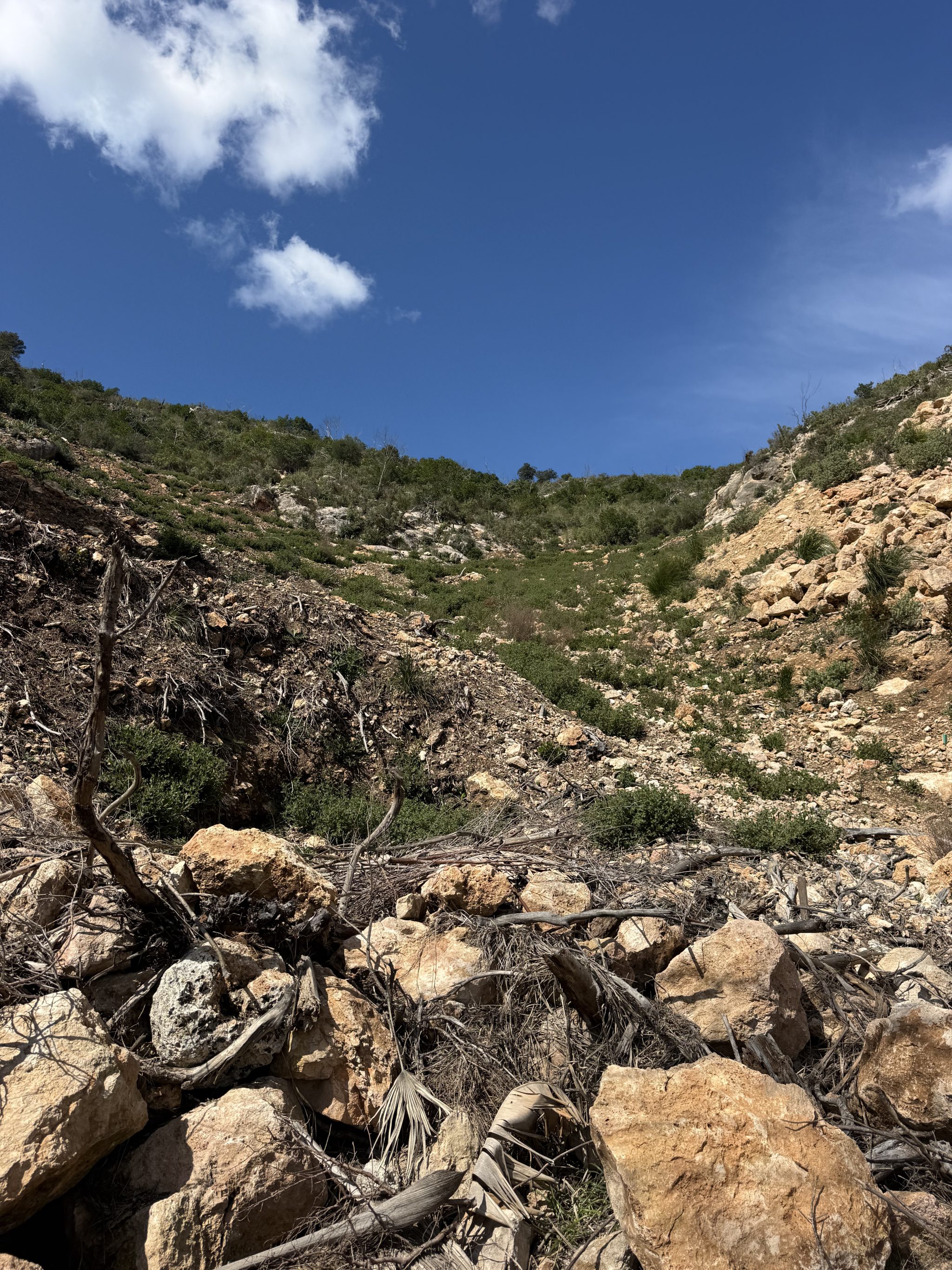 Immobilienangebot - Mallorca (Son Vida) - Grundstücke - Exklusives Baugrundstück mit Panoramablick auf die Bucht von Palma in privilegierter Wohnlage nahe Palma