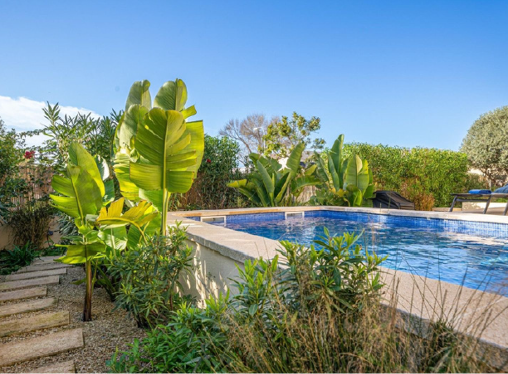 Immobilienangebot - Mallorca (Coll den Rabassa) - Alle - Elegante Villa mit Pool in Palma de Mallorcas Stadtteil Ciudad Jardín